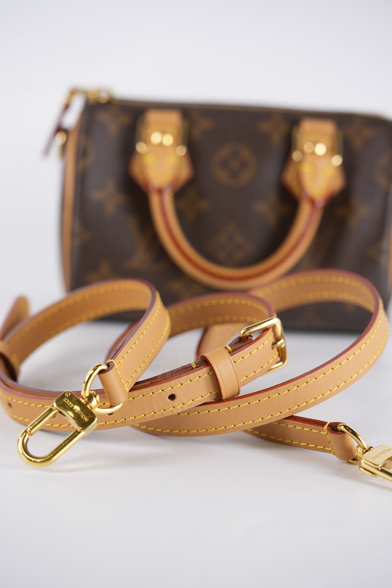 Speedy Nano in Monogram Canvas (Date code: TY0222)