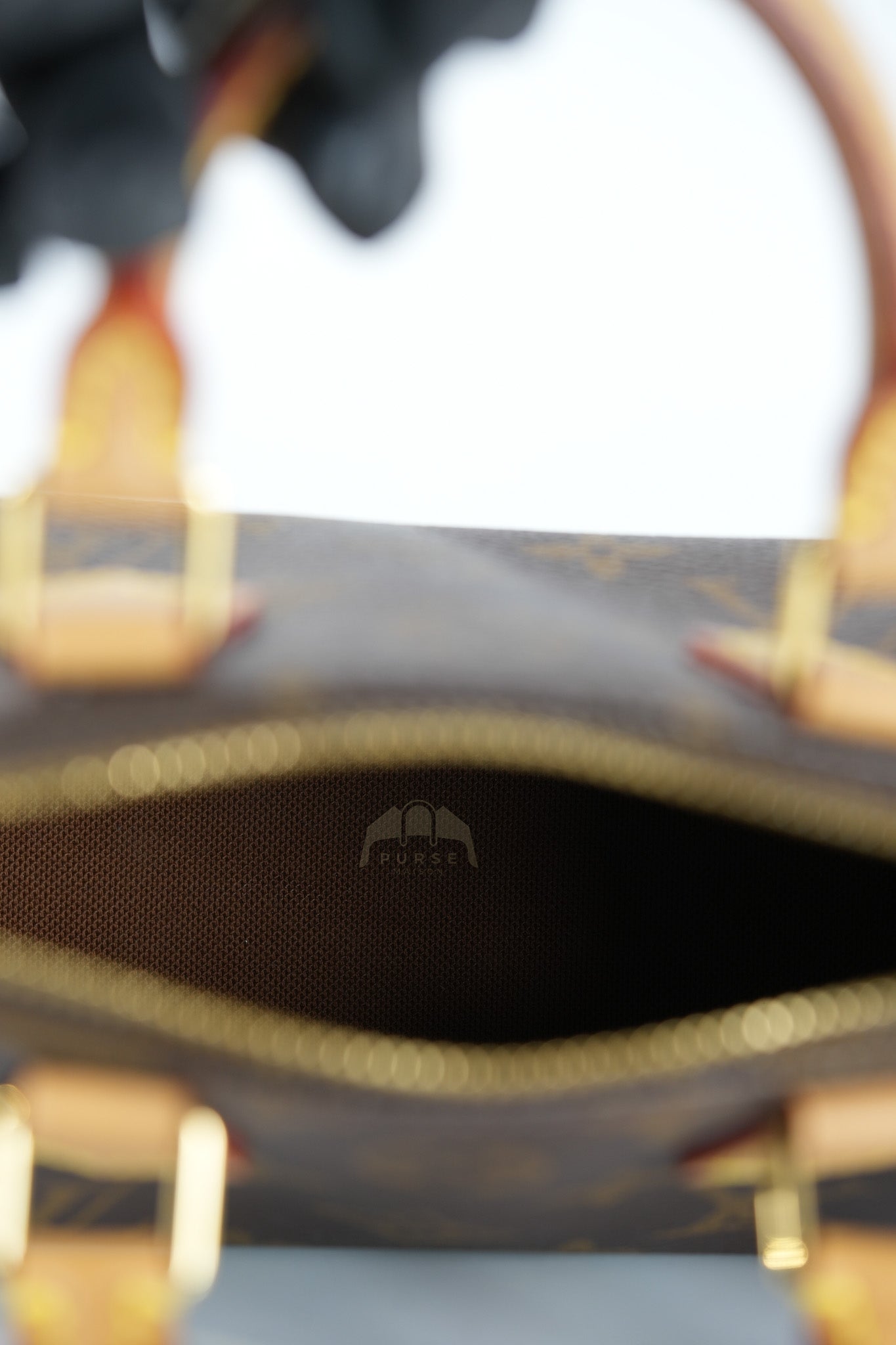 Speedy Nano in Monogram Canvas (Date code: TY0222)