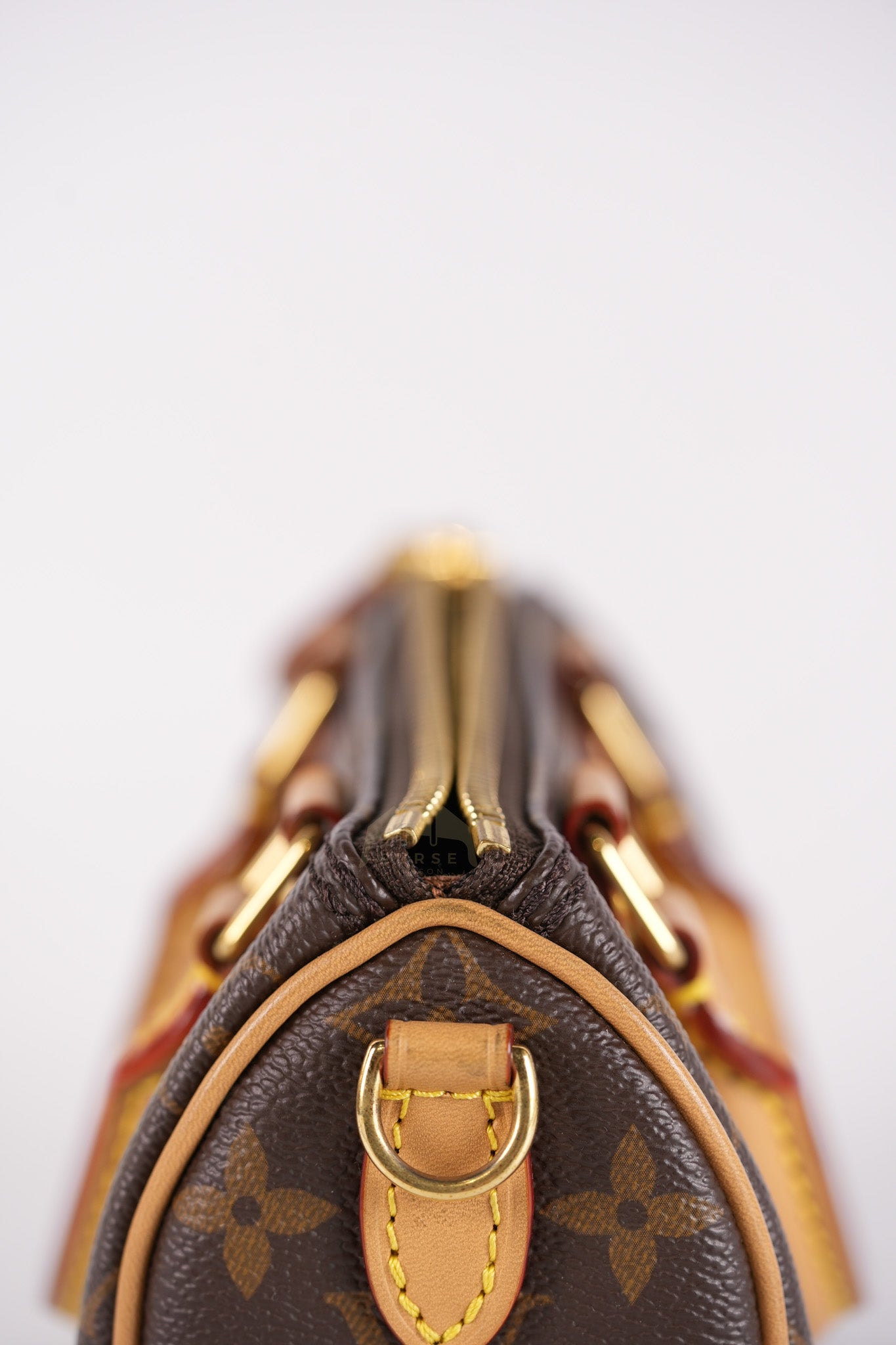 Speedy Nano in Monogram Canvas (Date code: TY0222)