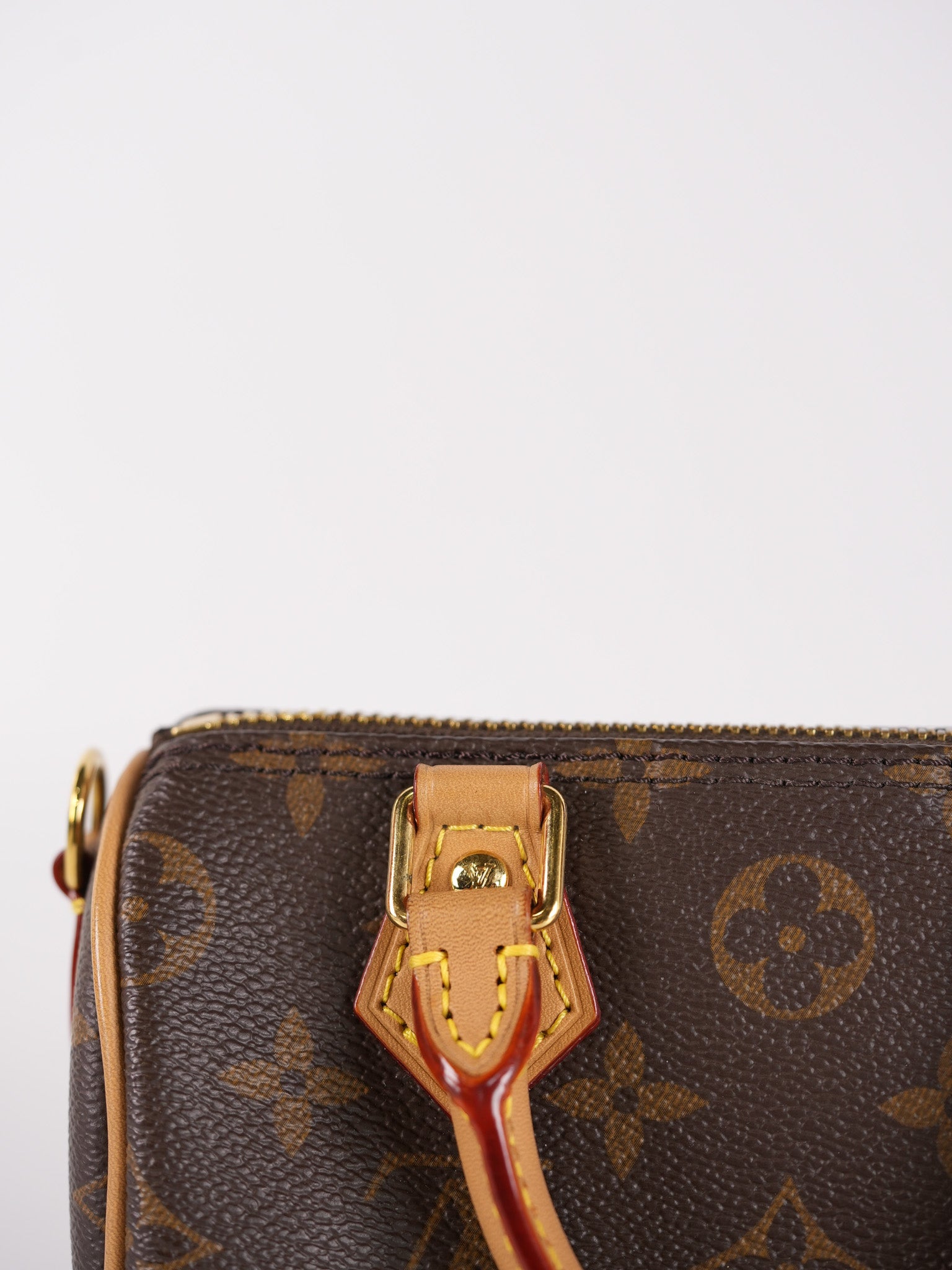 Speedy Nano in Monogram Canvas (Date code: TY0222)