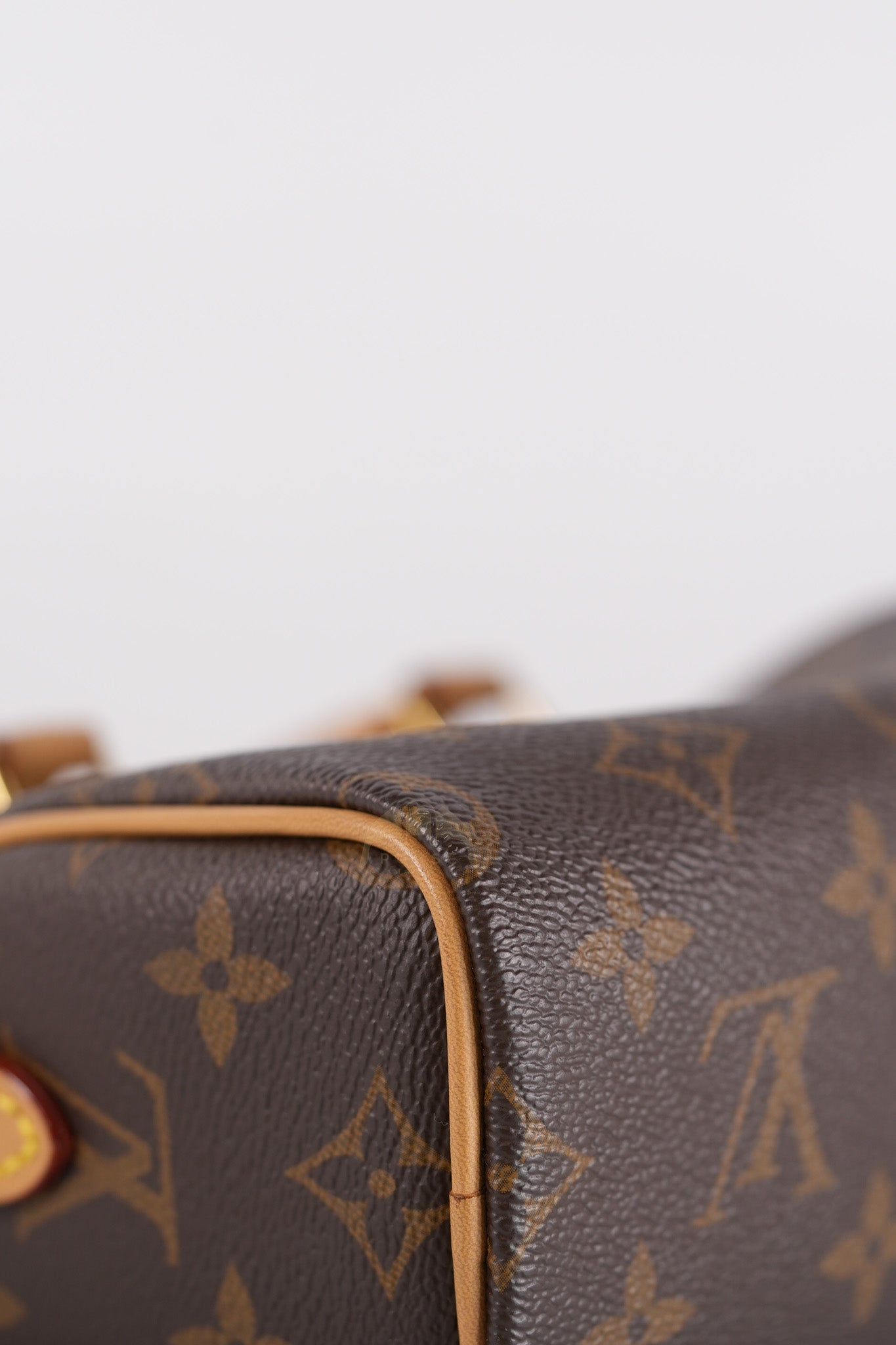 Speedy Nano in Monogram Canvas (Date code: TY0222)