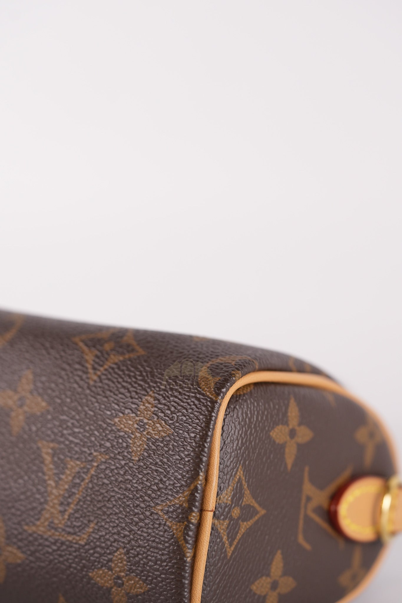 Speedy Nano in Monogram Canvas (Date code: TY0222)