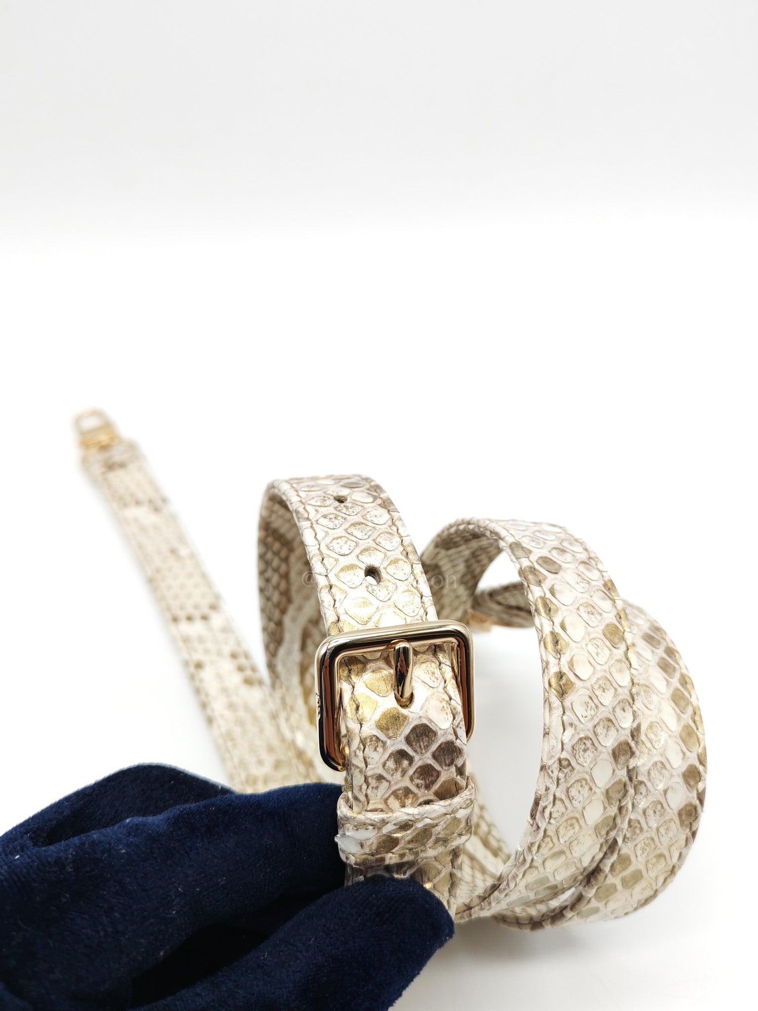 Lady D-Joy Medium in Gold Python Leather & Light Gold Hardware | Purse Maison Luxury Bags Shop