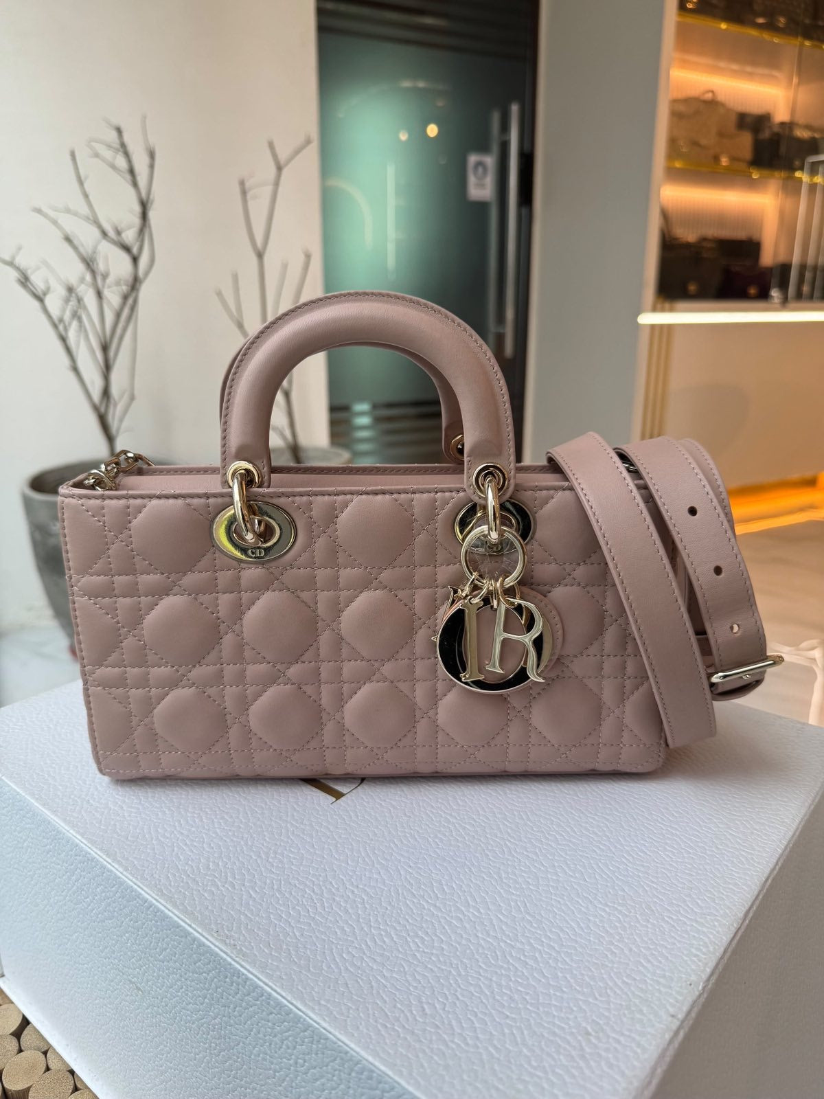 Lady D-Joy Medium Rose Des Vents Cannage Lambskin in Light Gold Hardware