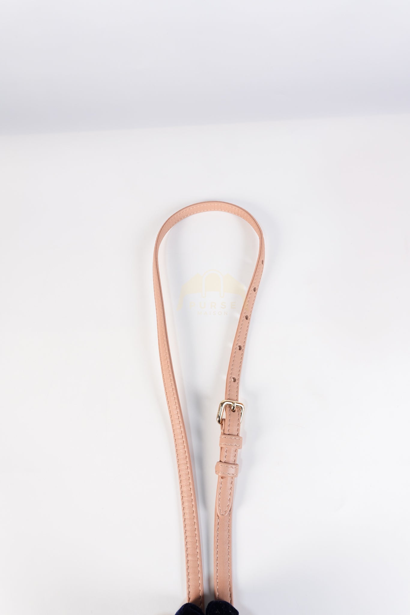 Lady D-Joy Micro Rose De Vents Light Gold Hardware | Purse Maison Luxury Bags Shop