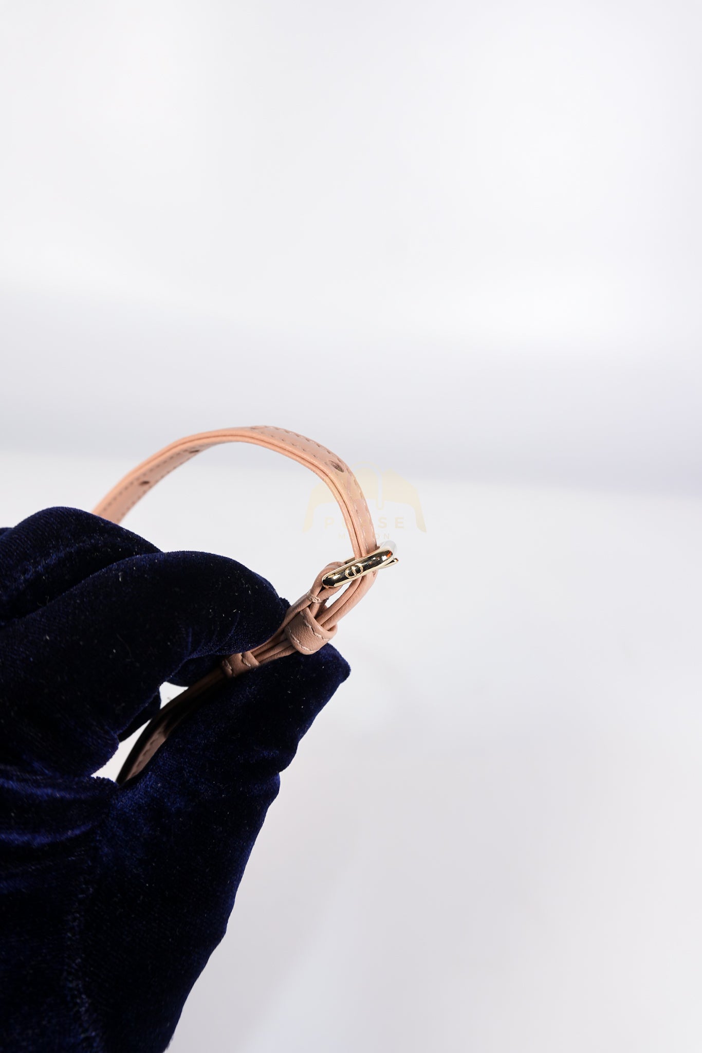 Lady D-Joy Micro Rose De Vents Light Gold Hardware | Purse Maison Luxury Bags Shop