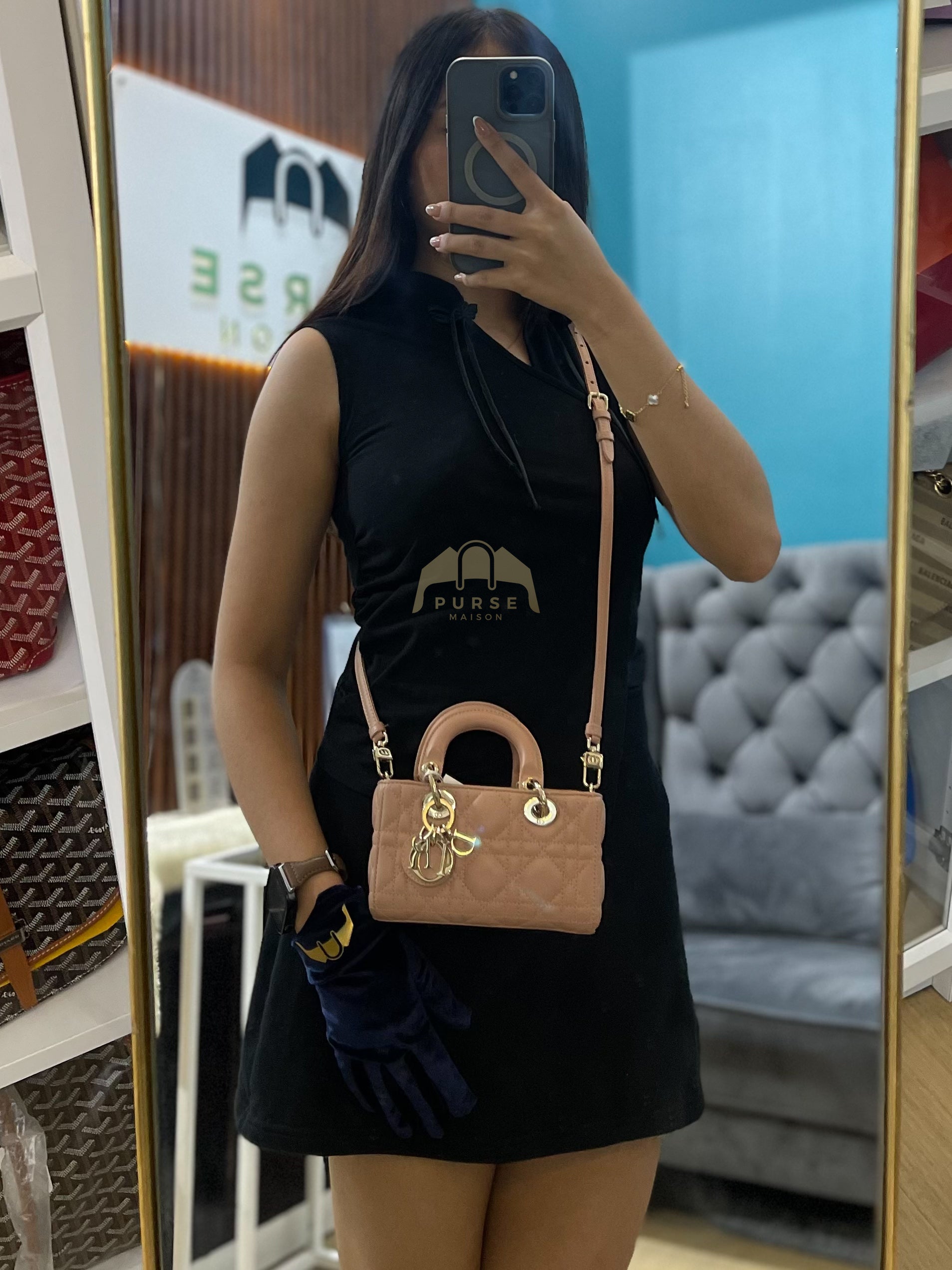 Lady D-Joy Micro Rose De Vents Light Gold Hardware | Purse Maison Luxury Bags Shop