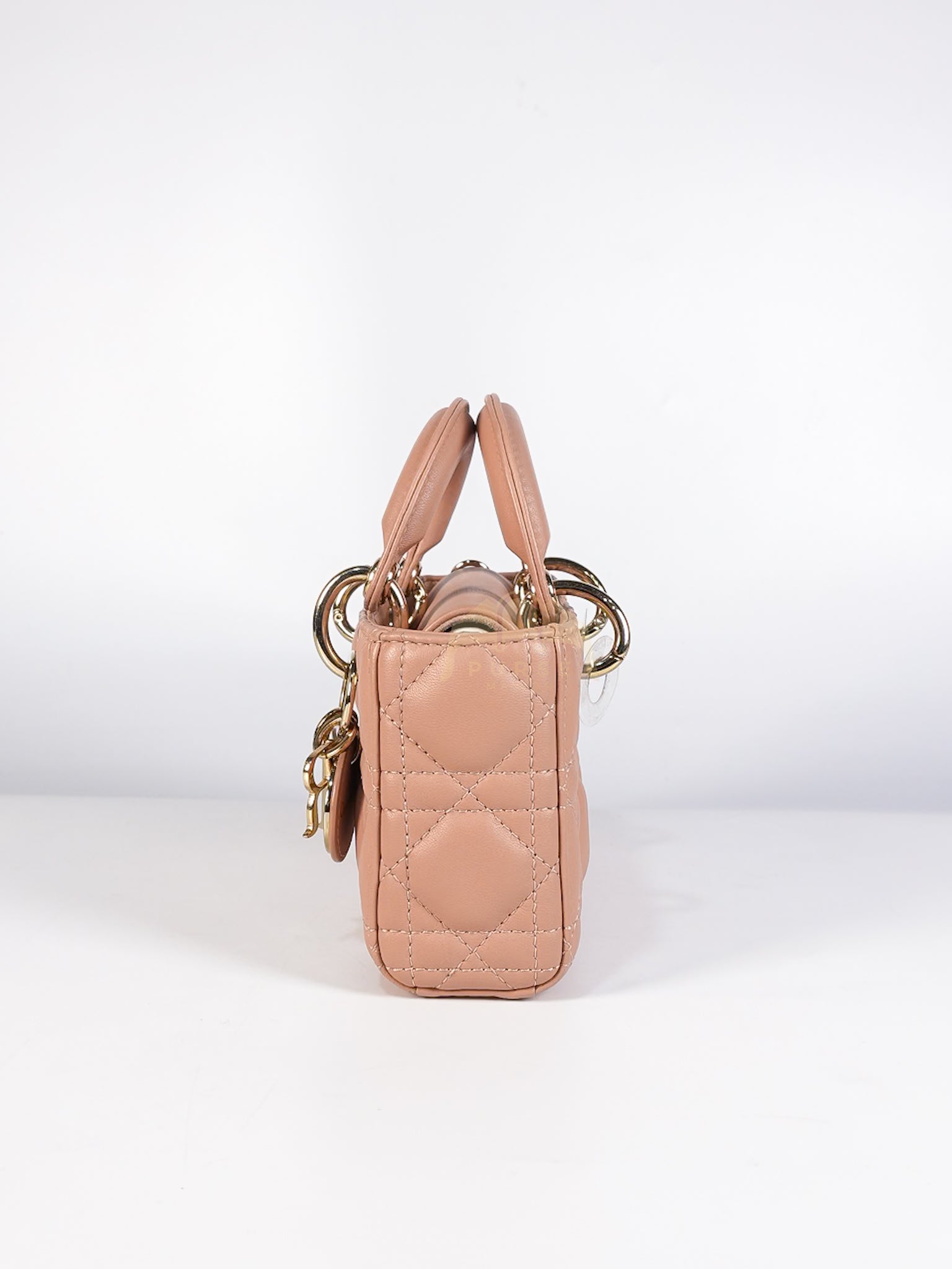 Lady D-Joy Micro Rose De Vents Light Gold Hardware | Purse Maison Luxury Bags Shop