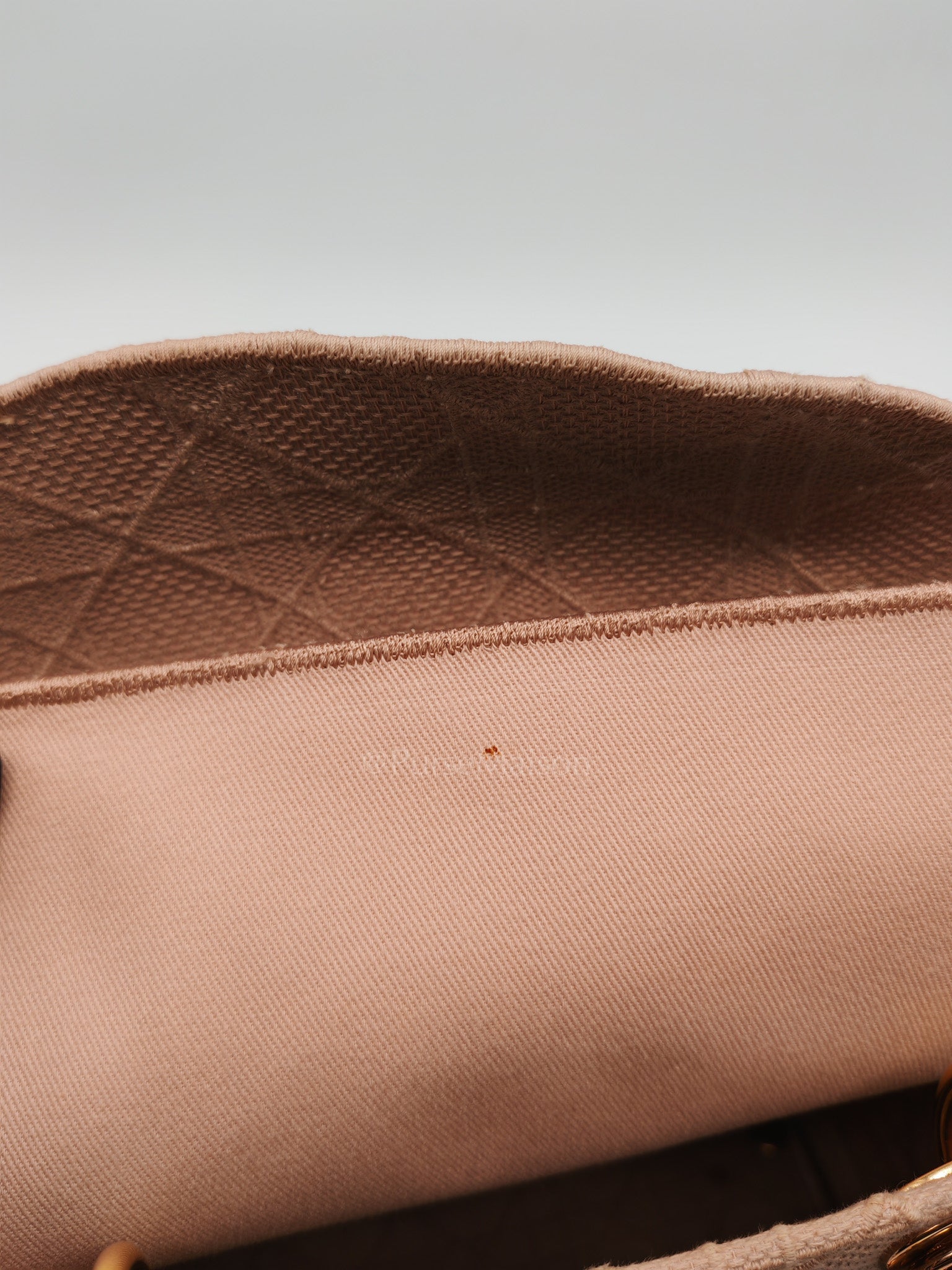 Lady D-Lite Medium in Blush Rose Canvas and Rose Gold Hardware Shoulder Bag | Purse Maison Luxury Bags Shop