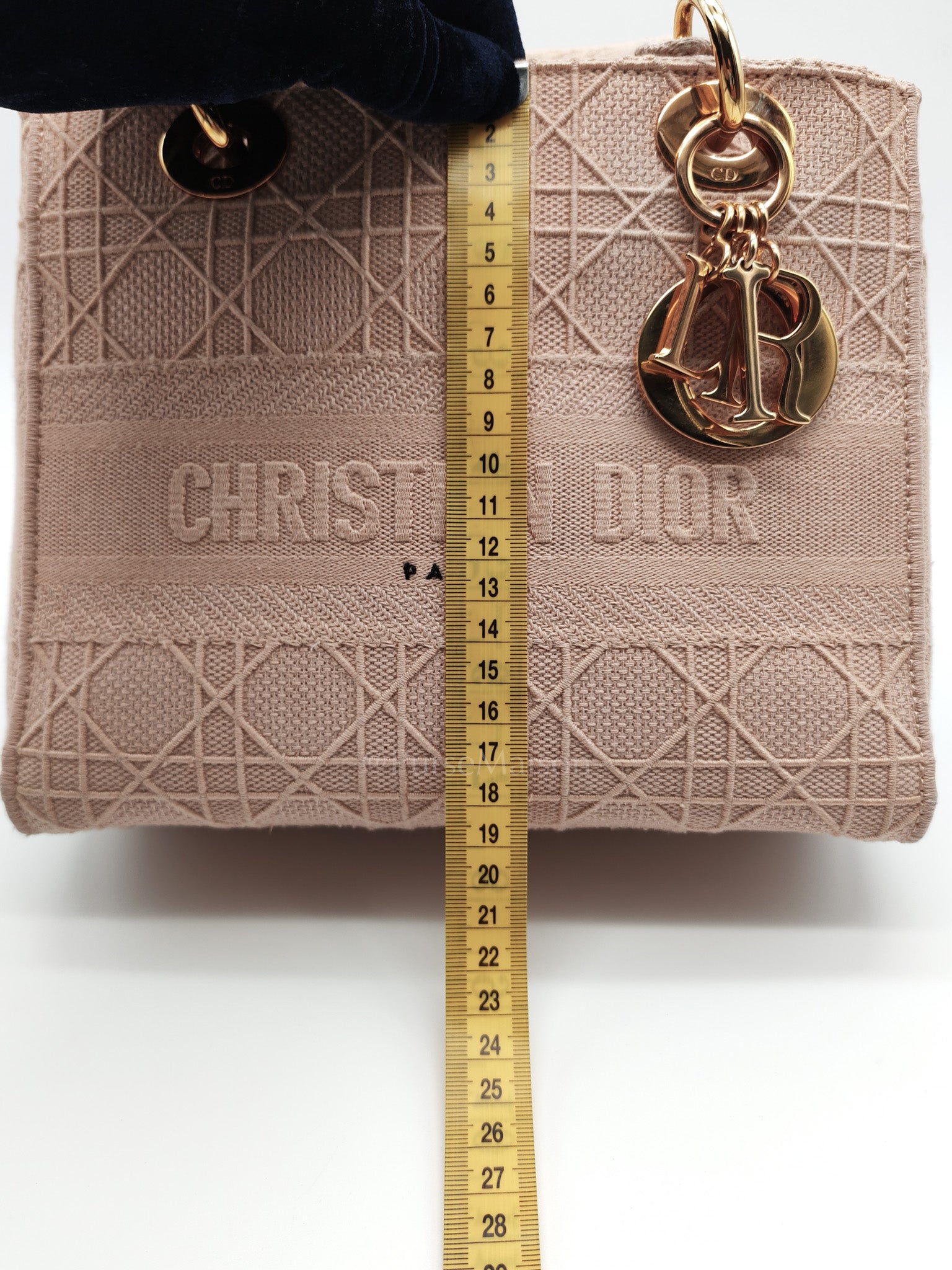 Lady D-Lite Medium in Blush Rose Canvas and Rose Gold Hardware Shoulder Bag | Purse Maison Luxury Bags Shop