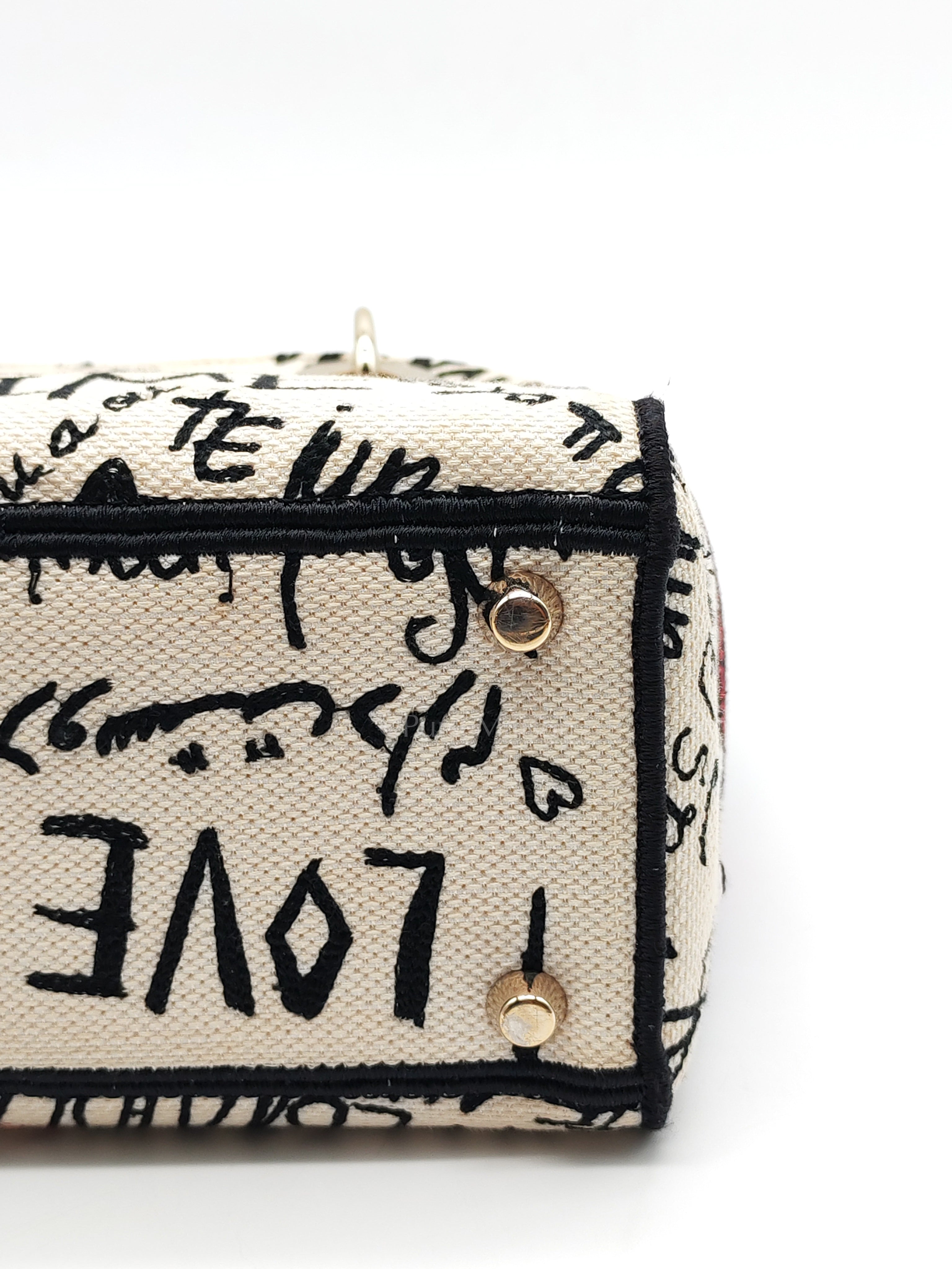 Lady D-Lite Medium in Latte Multicolor Dioramour Graffiti Embroidery & Light Gold Hardware | Purse Maison Luxury Bags Shop