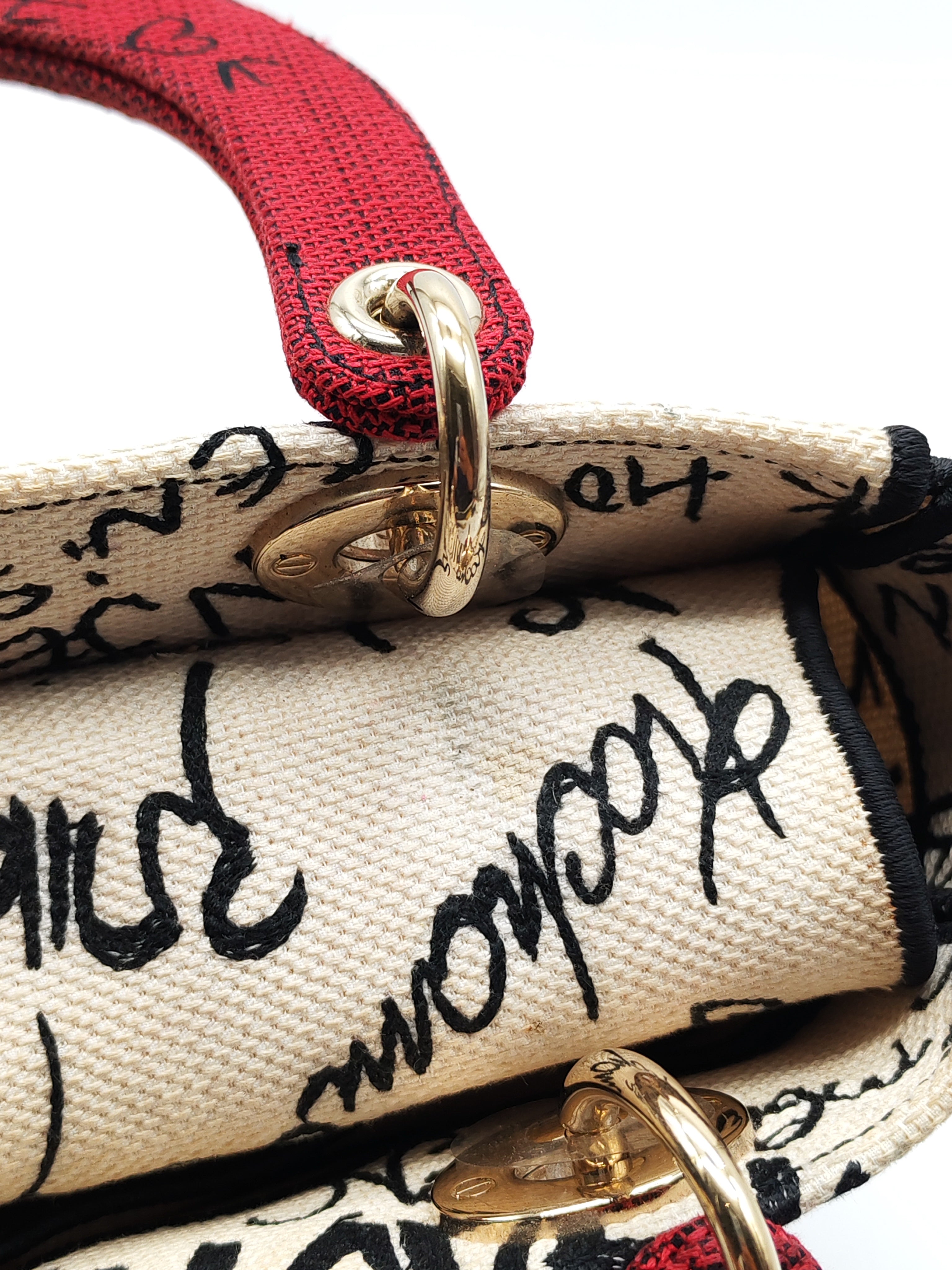 Lady D-Lite Medium in Latte Multicolor Dioramour Graffiti Embroidery & Light Gold Hardware | Purse Maison Luxury Bags Shop