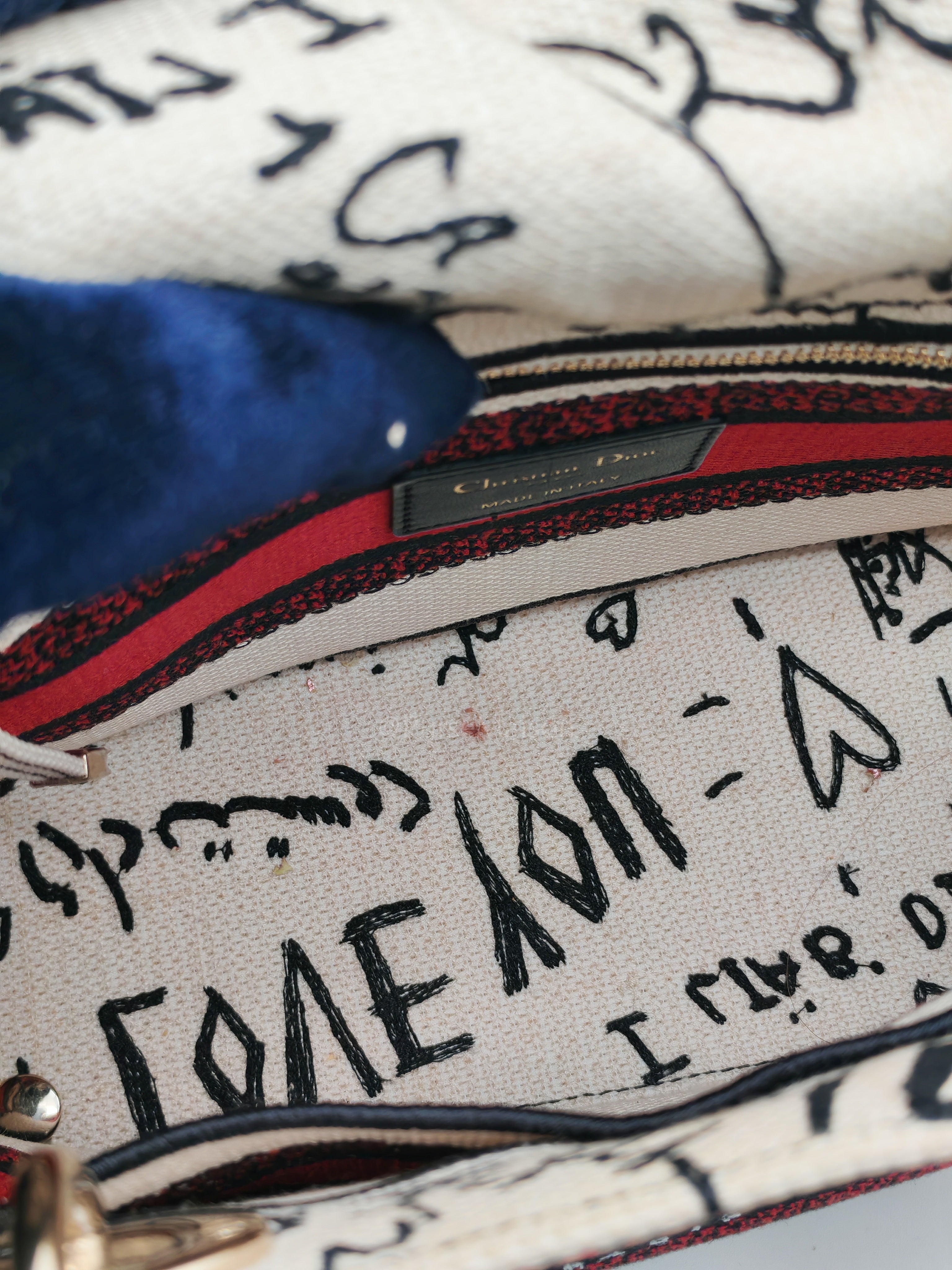 Lady D-Lite Medium in Latte Multicolor Dioramour Graffiti Embroidery & Light Gold Hardware | Purse Maison Luxury Bags Shop