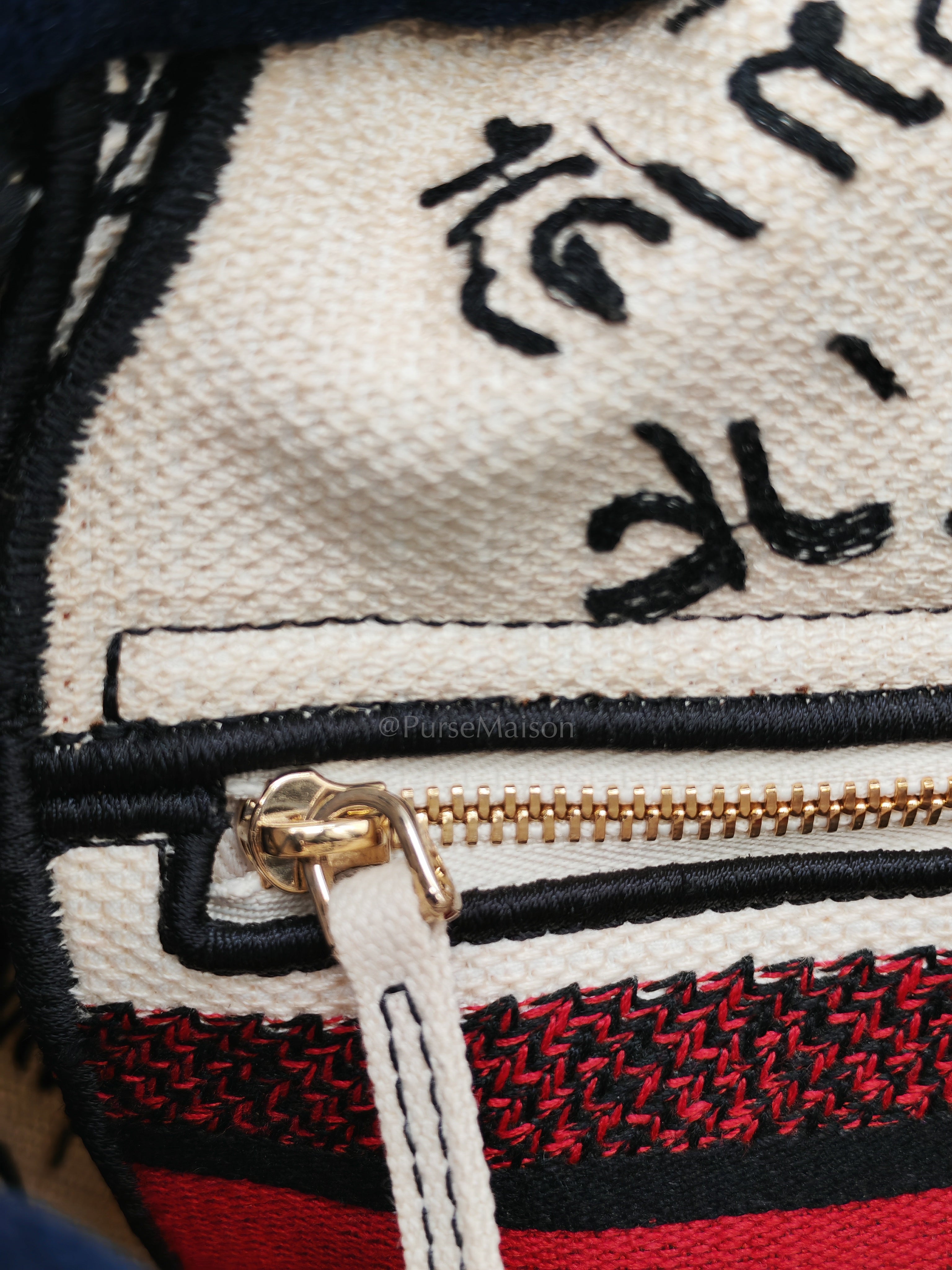 Lady D-Lite Medium in Latte Multicolor Dioramour Graffiti Embroidery & Light Gold Hardware | Purse Maison Luxury Bags Shop