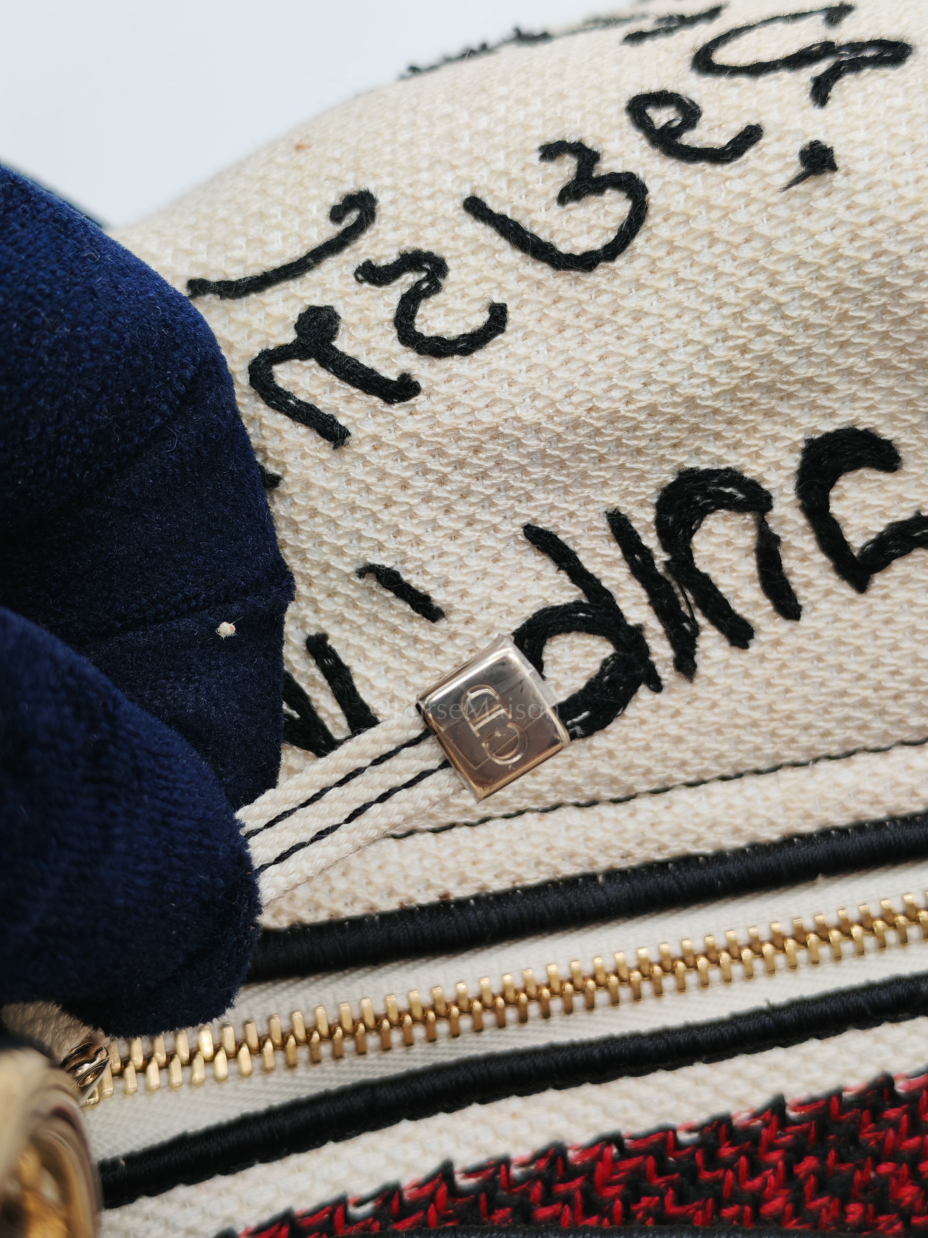 Lady D-Lite Medium in Latte Multicolor Dioramour Graffiti Embroidery & Light Gold Hardware | Purse Maison Luxury Bags Shop