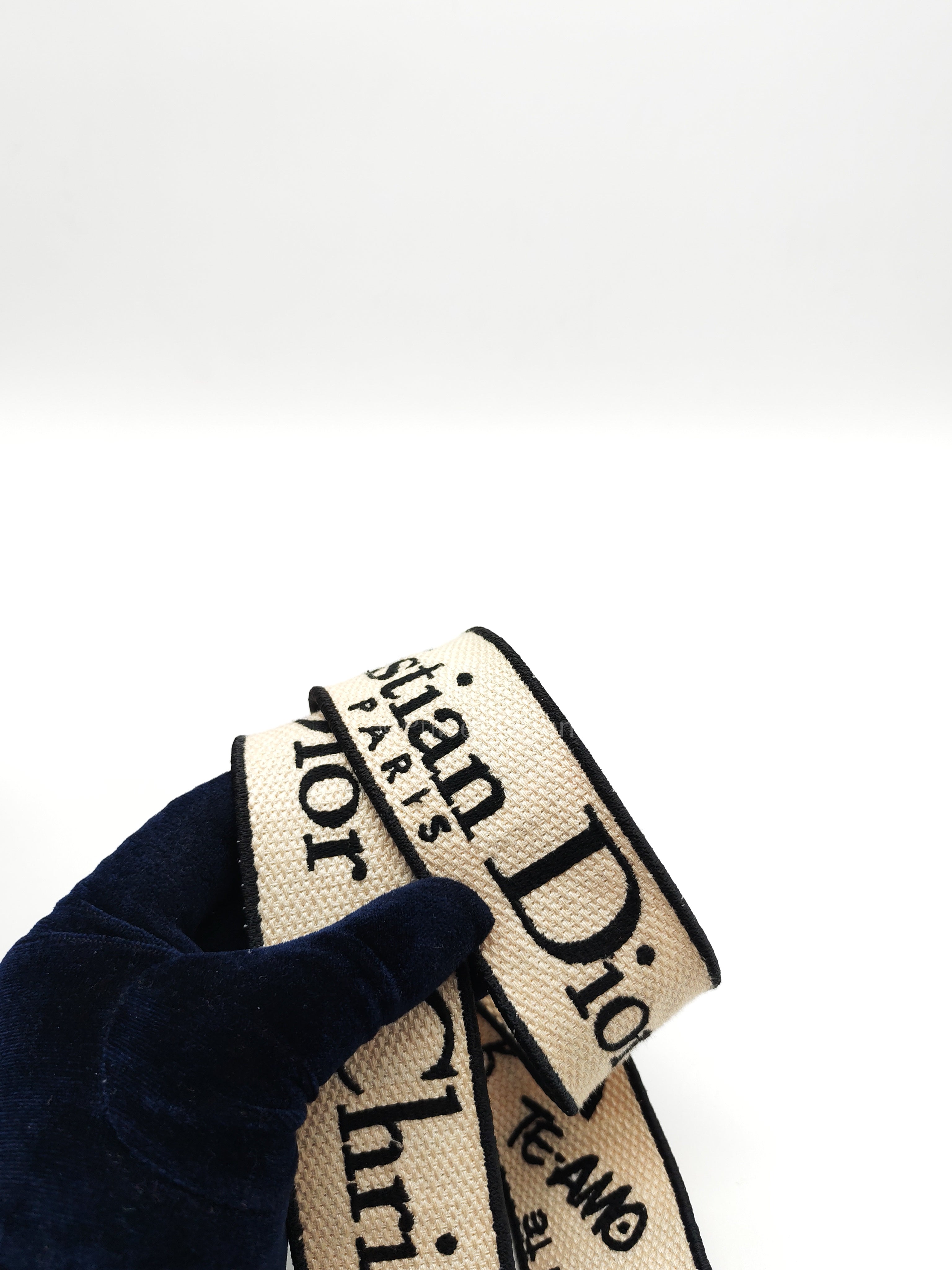 Lady D-Lite Medium in Latte Multicolor Dioramour Graffiti Embroidery & Light Gold Hardware | Purse Maison Luxury Bags Shop