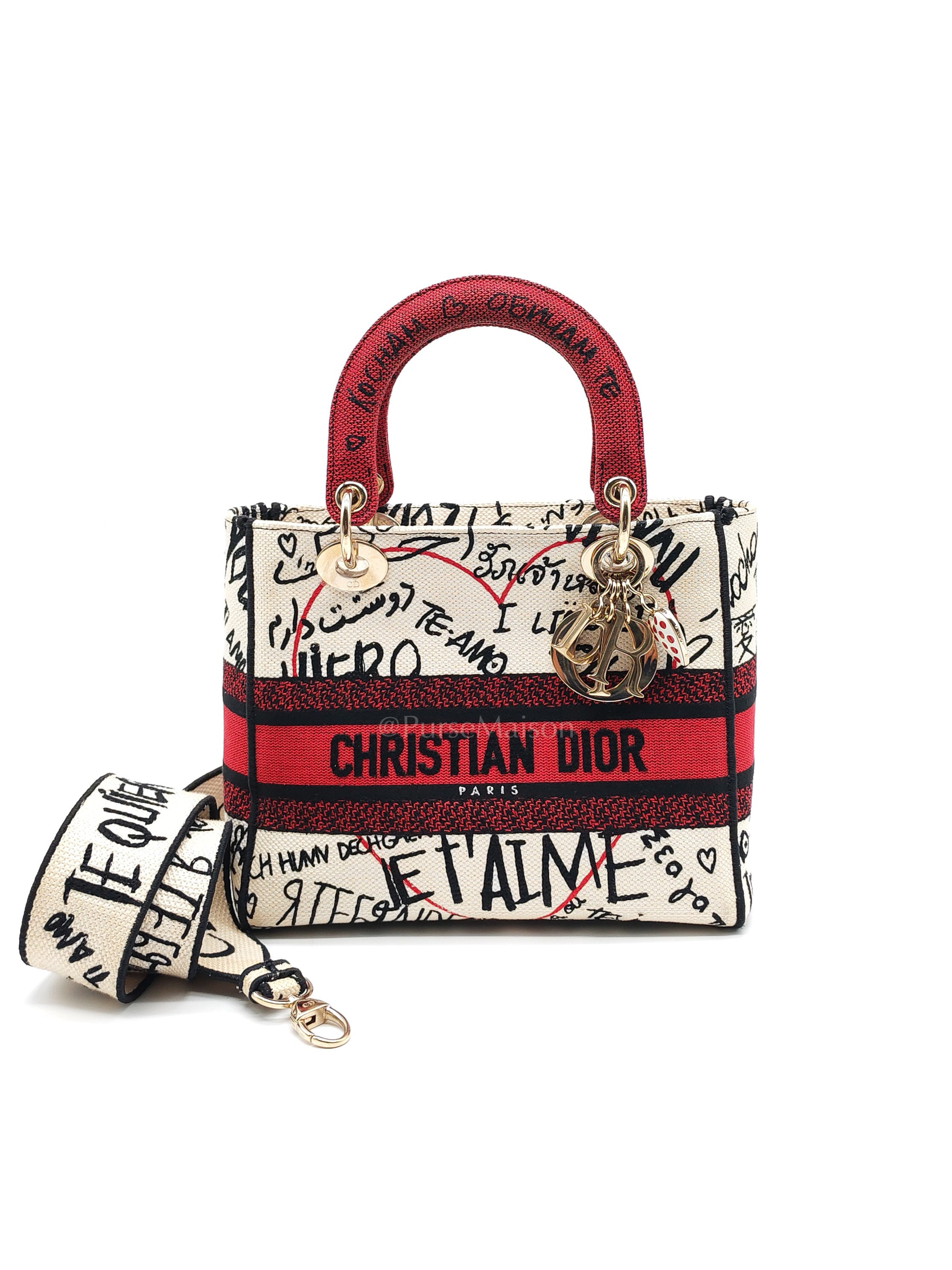 Lady D-Lite Medium in Latte Multicolor Dioramour Graffiti Embroidery & Light Gold Hardware | Purse Maison Luxury Bags Shop