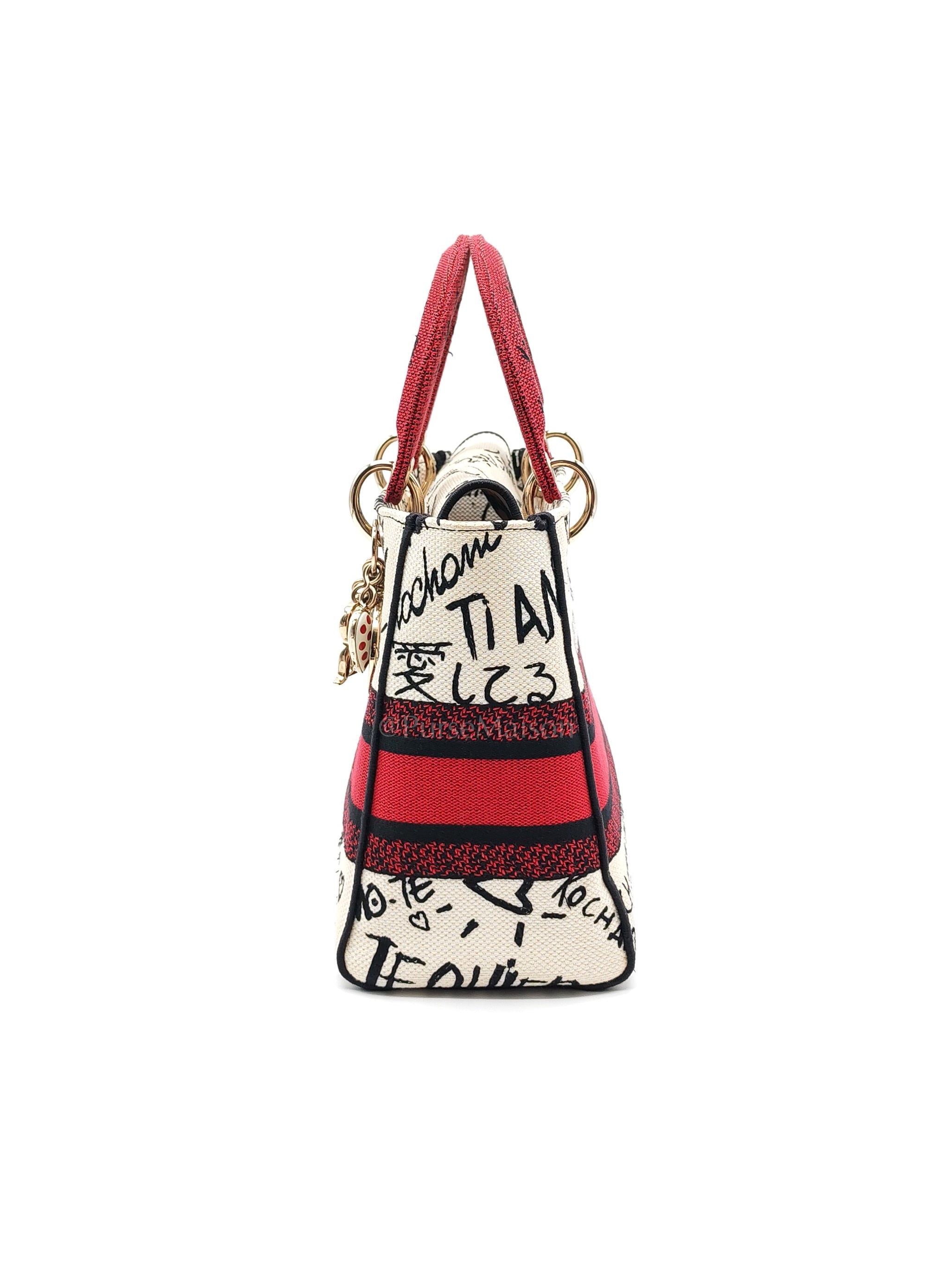 Lady D-Lite Medium in Latte Multicolor Dioramour Graffiti Embroidery & Light Gold Hardware | Purse Maison Luxury Bags Shop