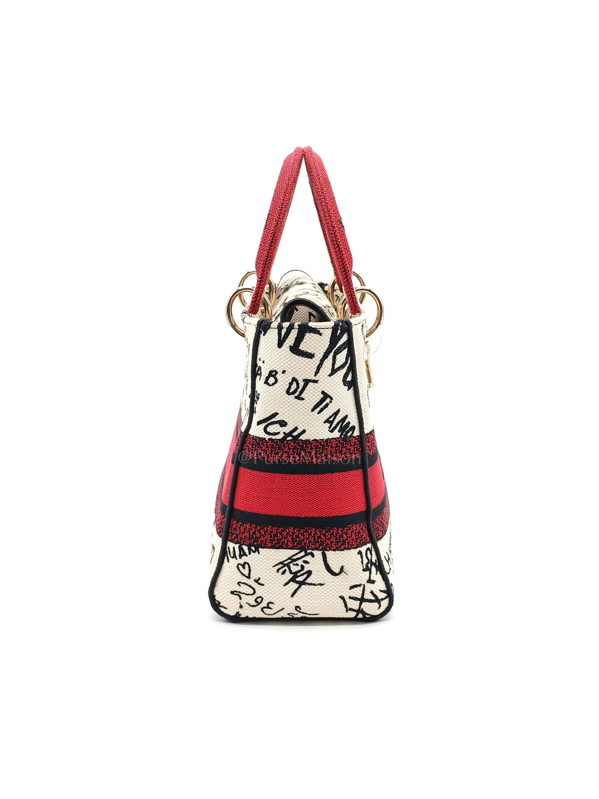 Lady D-Lite Medium in Latte Multicolor Dioramour Graffiti Embroidery & Light Gold Hardware | Purse Maison Luxury Bags Shop