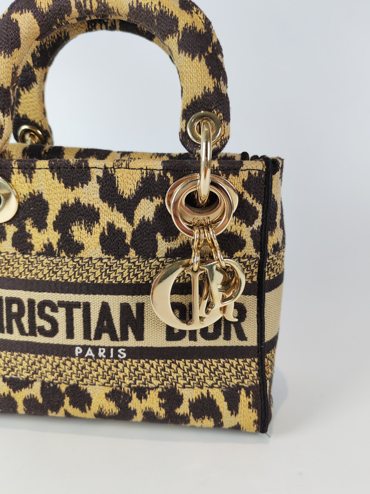 Lady D-lite Mini in Mizza Leopard Embroidered Canvas | Purse Maison Luxury Bags Shop