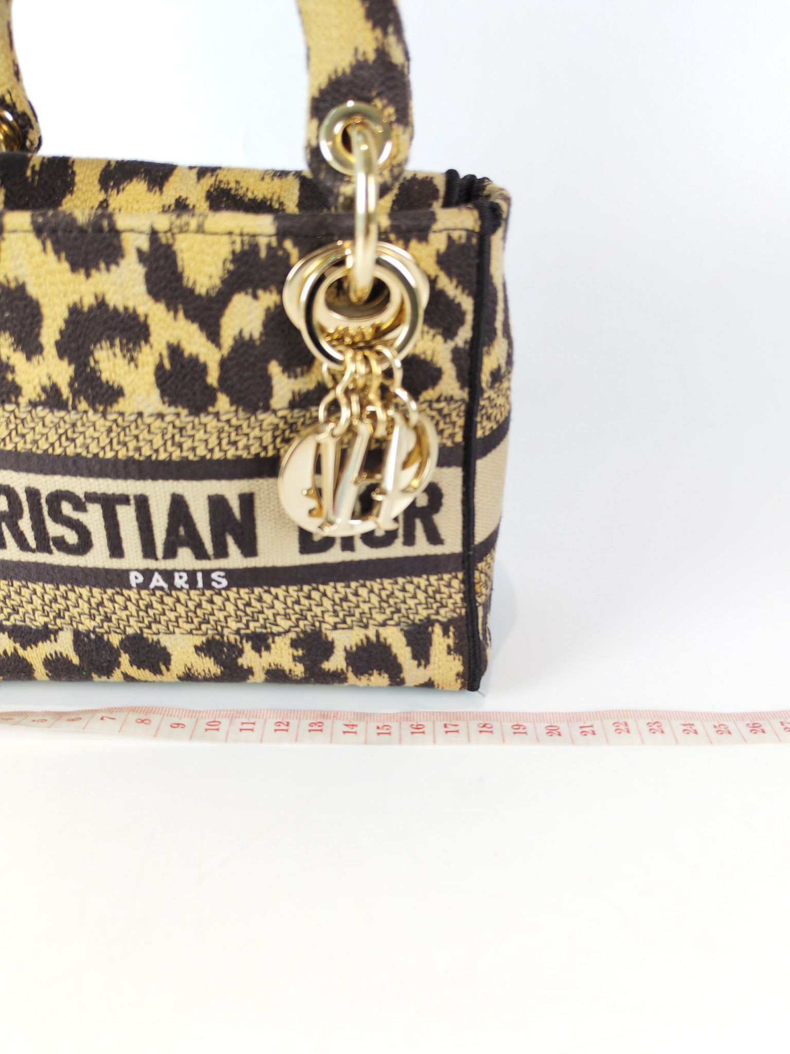 Lady D-lite Mini in Mizza Leopard Embroidered Canvas | Purse Maison Luxury Bags Shop
