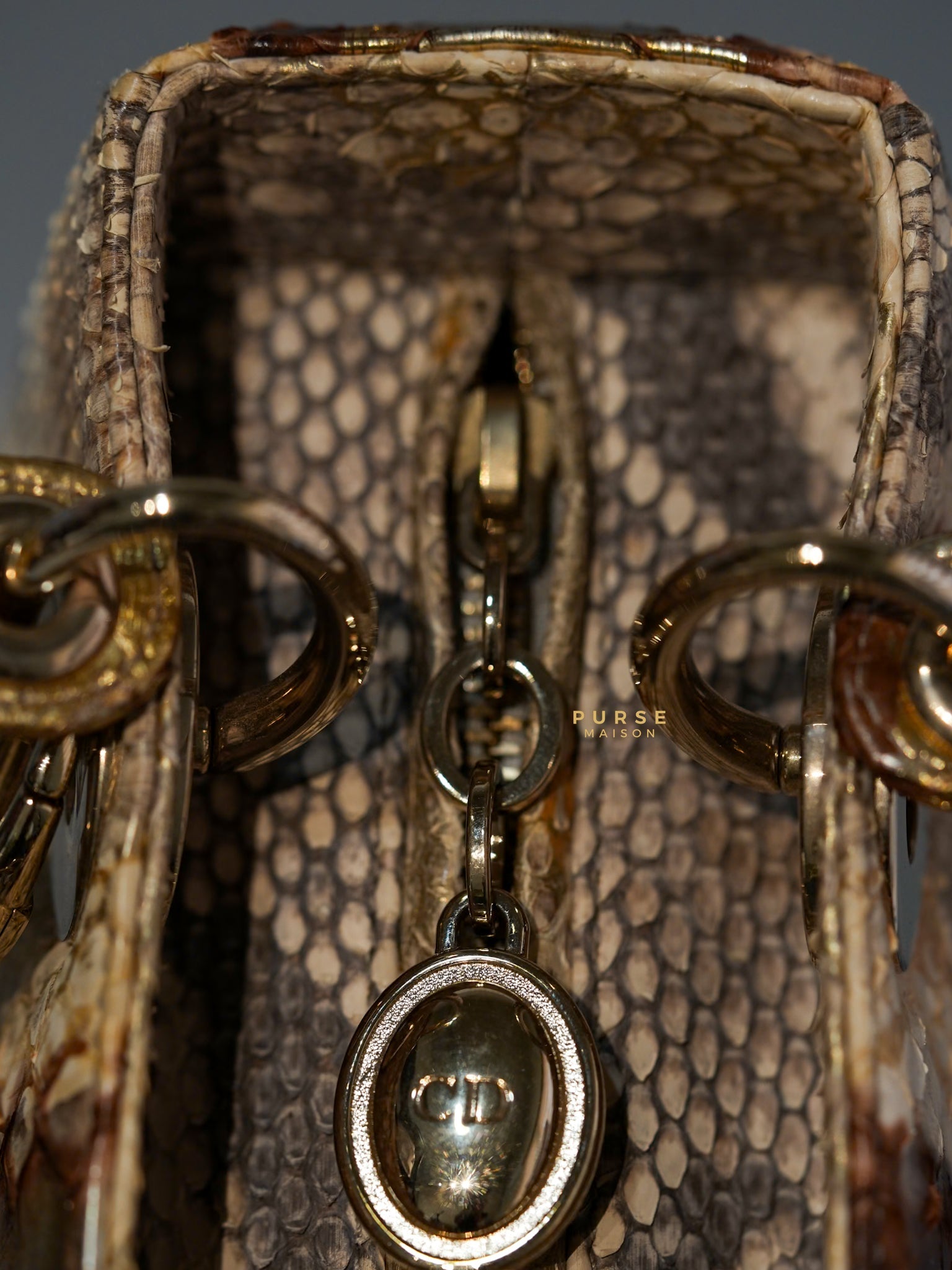 Lady Dior Medium Python (Exotic Leather) Bag | Purse Maison Luxury Bags Shop