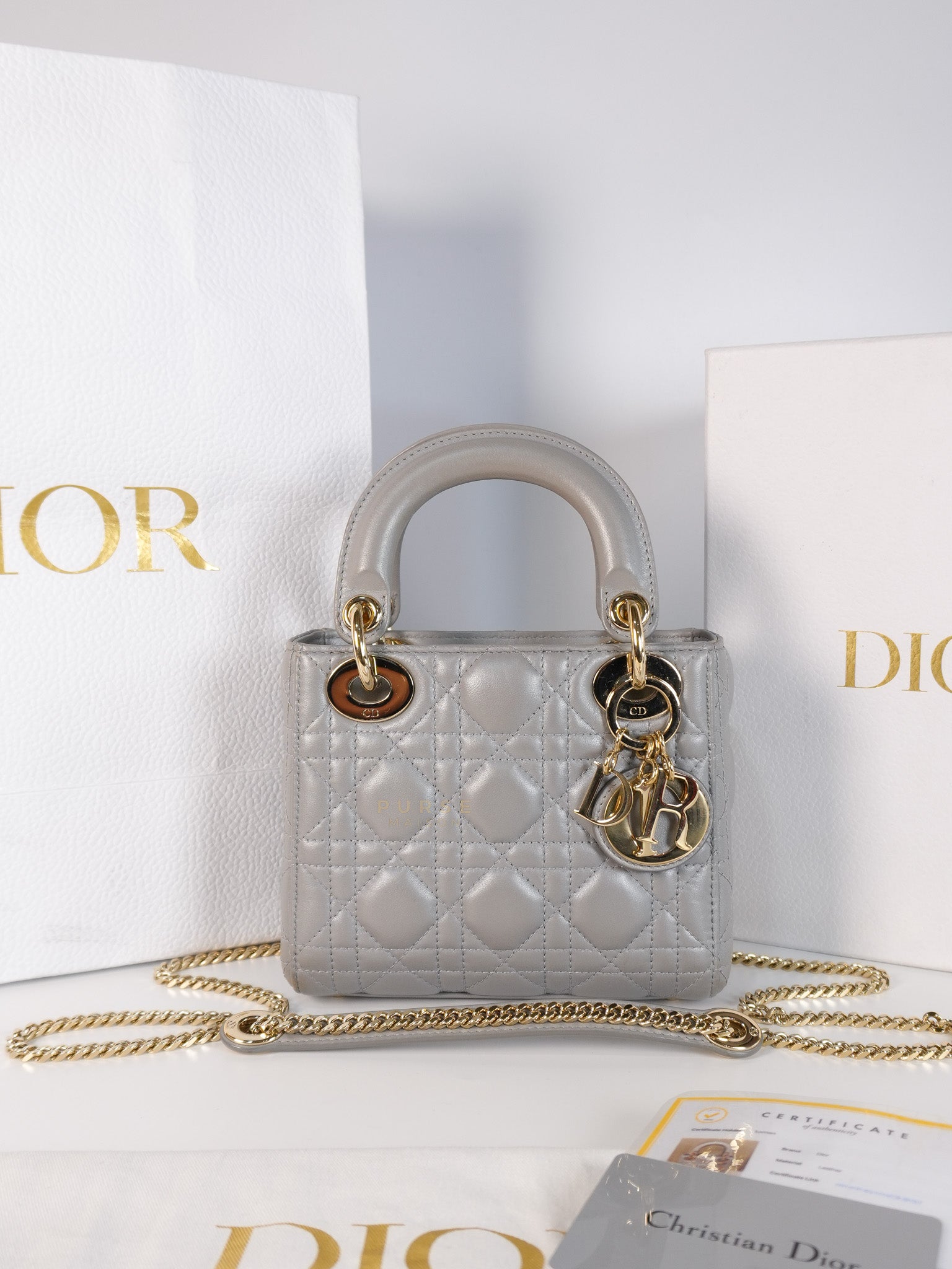 Lady Dior Mini in Gray Cannage Lambskin Leather Light Gold Hardware | Purse Maison Luxury Bags Shop