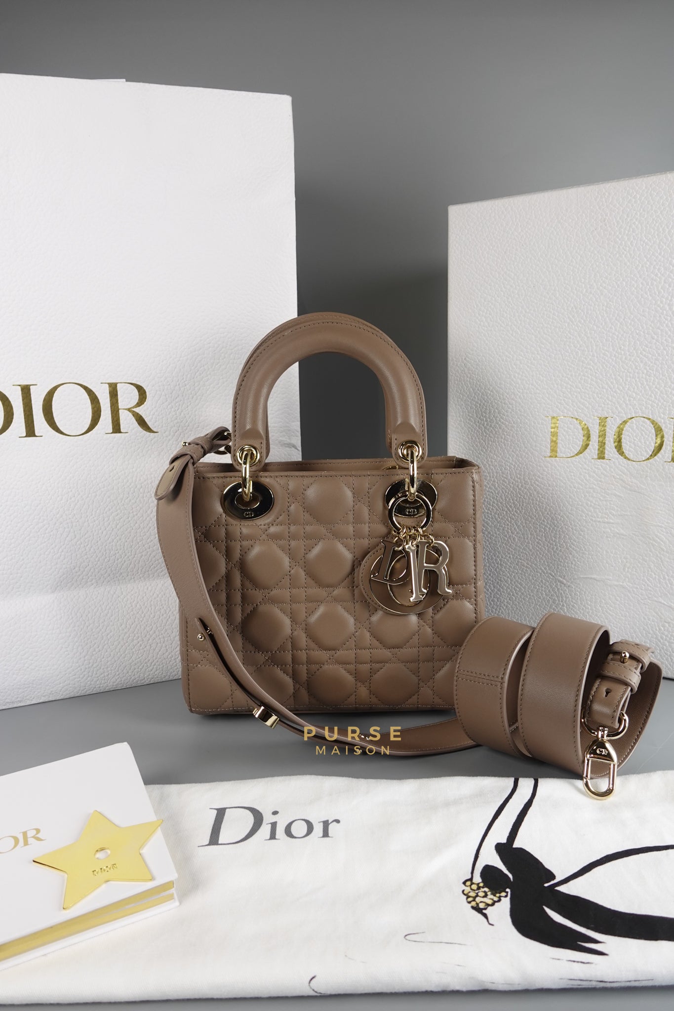 Lady Dior MyABCDior Small in Warm Taupe Lambskin and Gold Hardware | Purse Maison Luxury Bags Shop