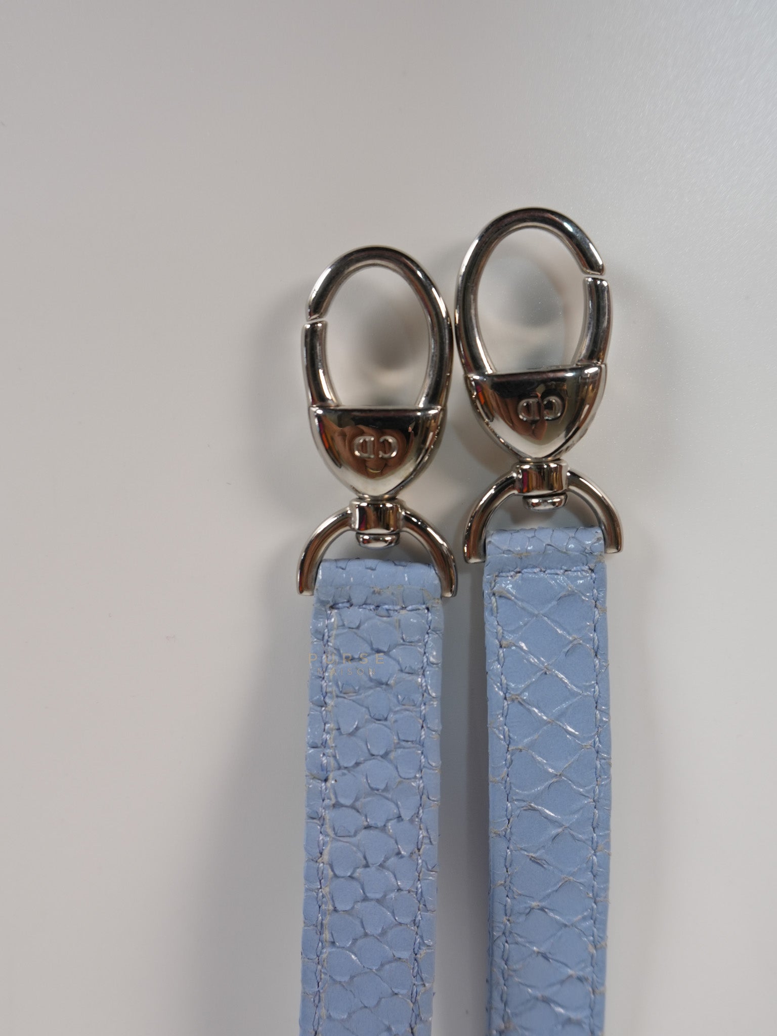 Lady Dior Python Small in Sky Blue Silver Hardware | Purse Maison Luxury Bags Shop