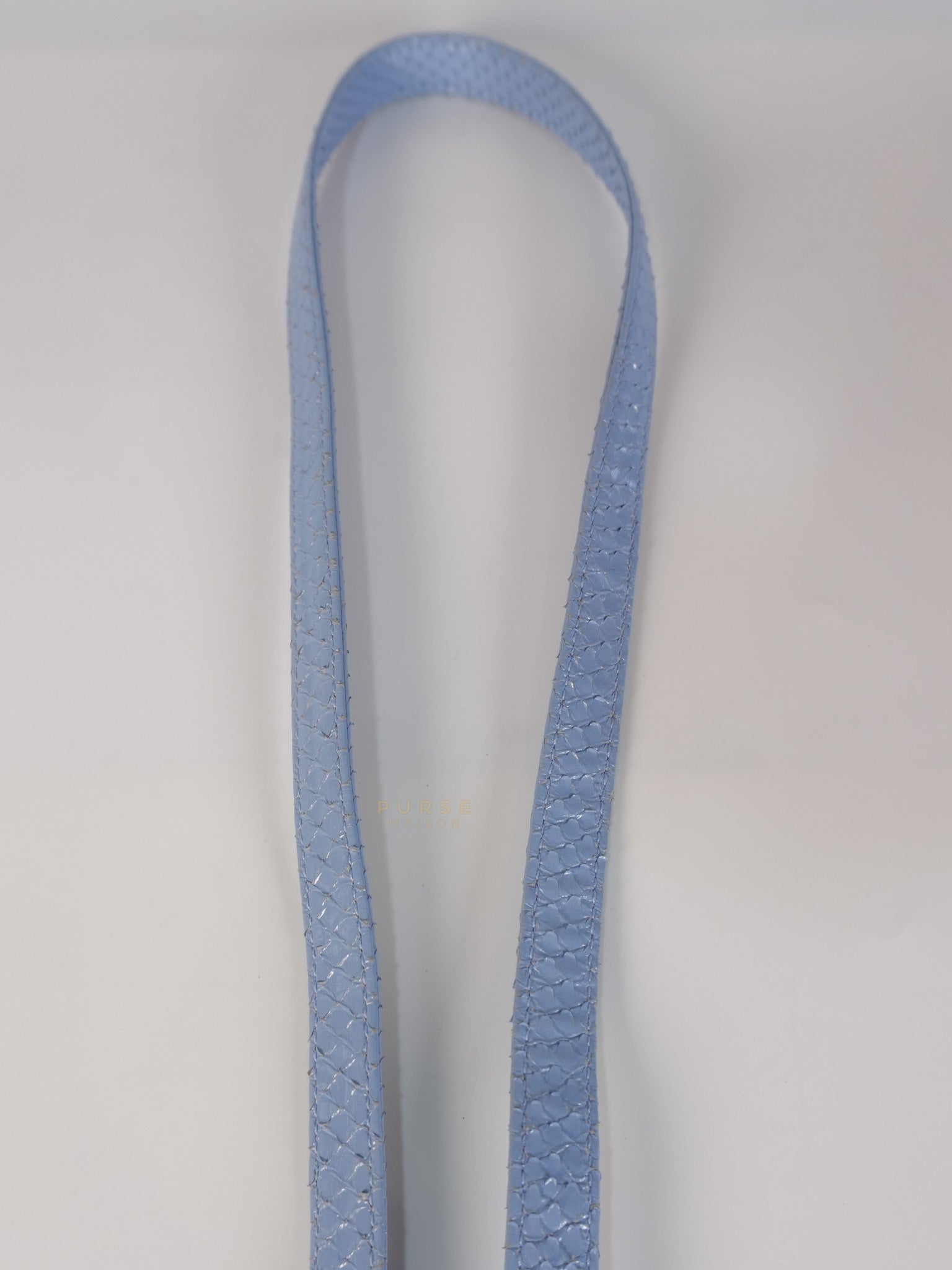 Lady Dior Python Small in Sky Blue Silver Hardware | Purse Maison Luxury Bags Shop