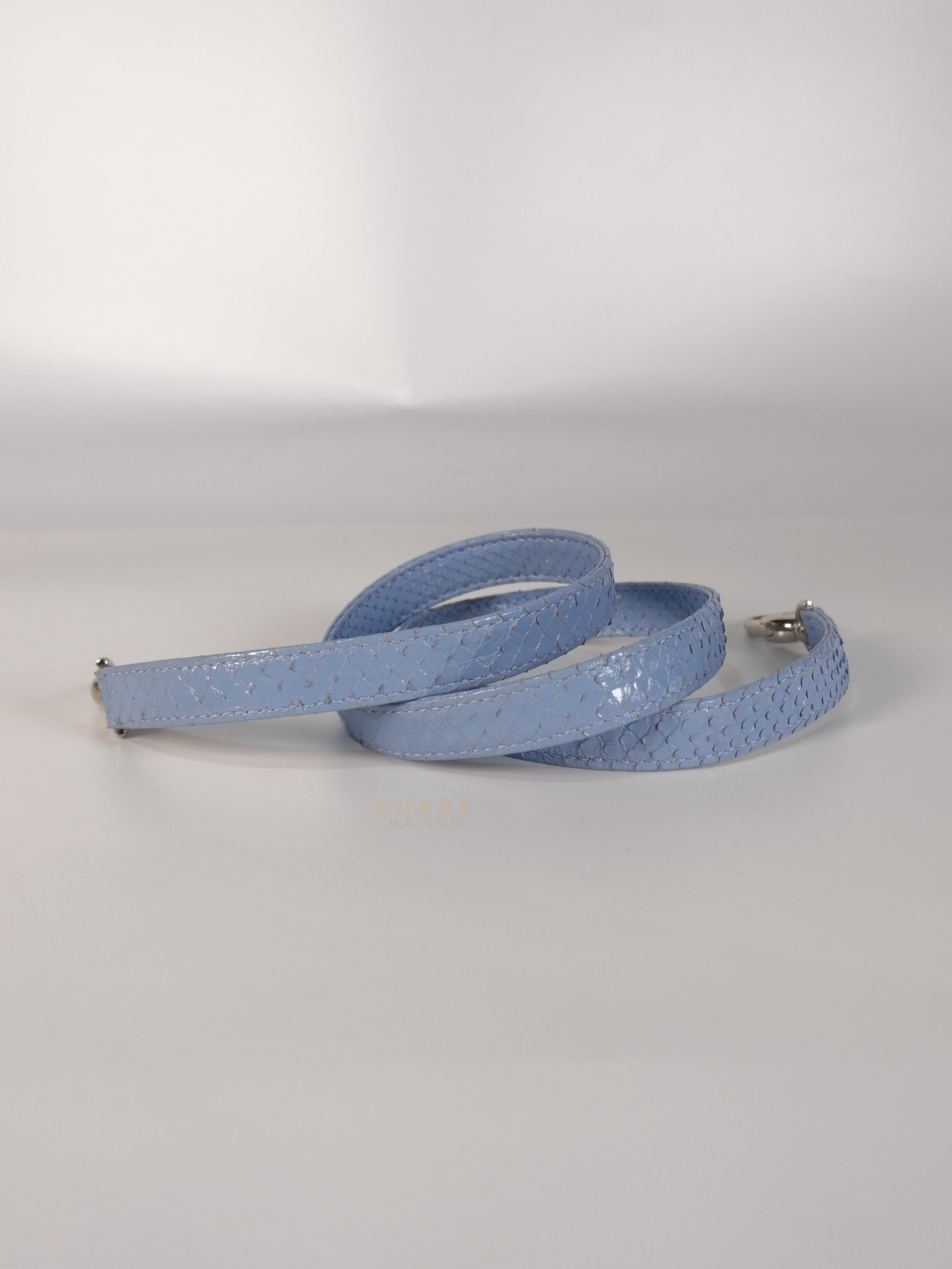 Lady Dior Python Small in Sky Blue Silver Hardware | Purse Maison Luxury Bags Shop