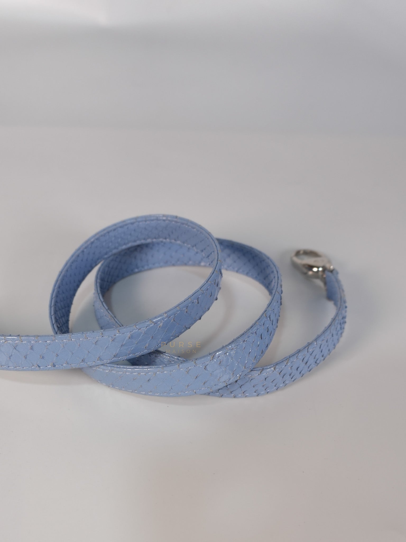 Lady Dior Python Small in Sky Blue Silver Hardware | Purse Maison Luxury Bags Shop