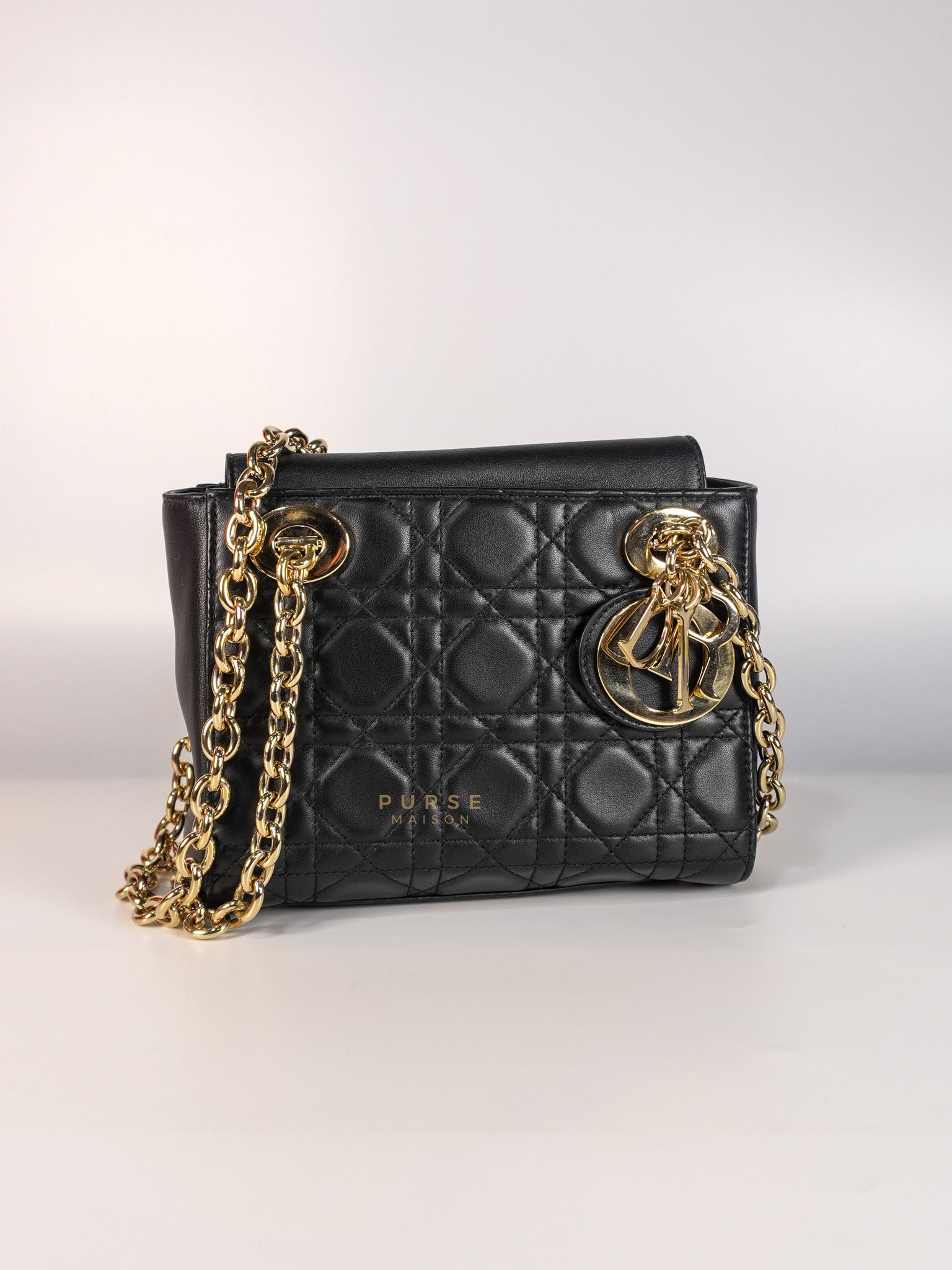 Lady Dior Small Double Chain in Black Cannage Lambskin Leather Limited Edition | Purse Maison Luxury Bags Shop