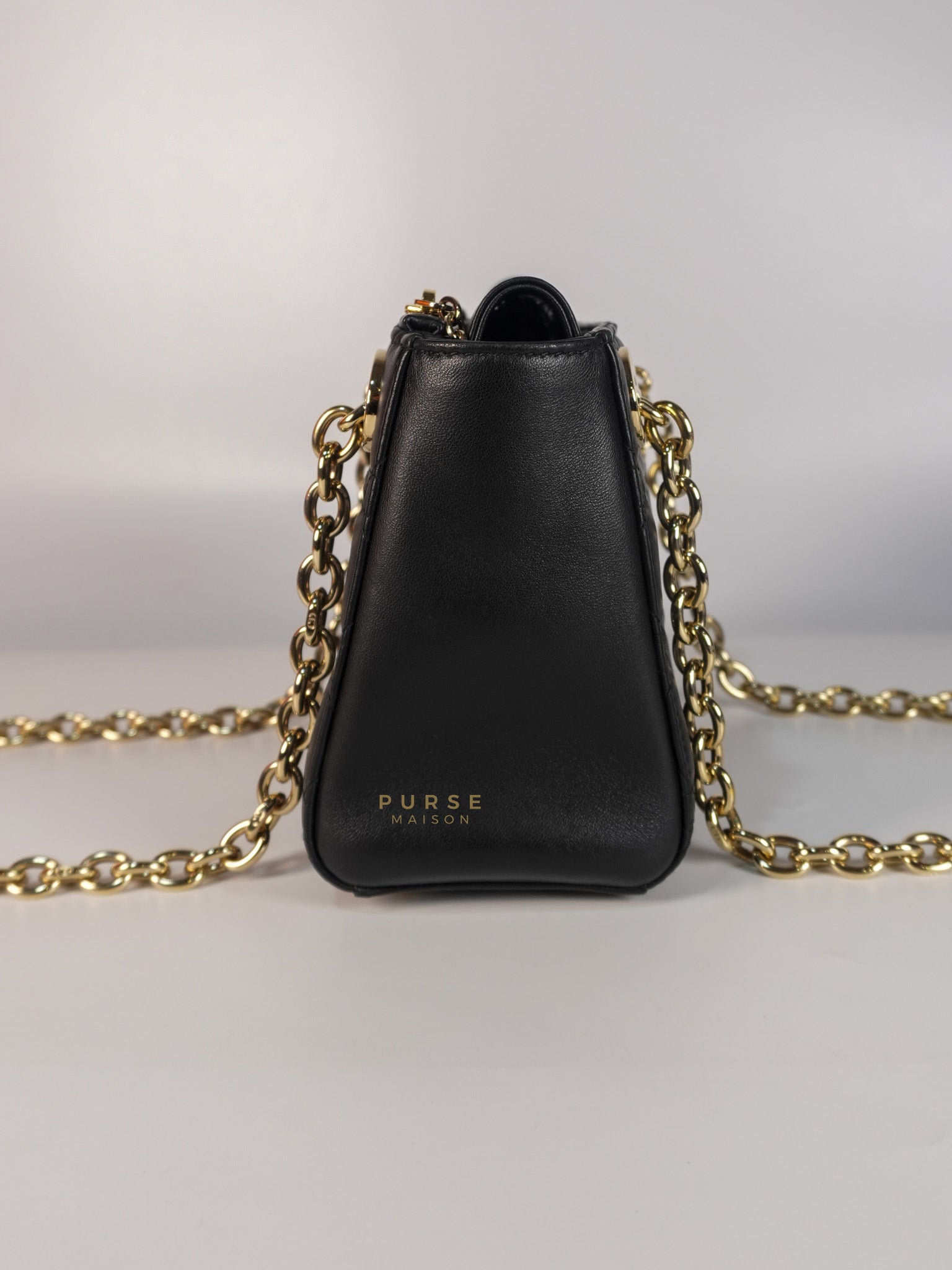 Lady Dior Small Double Chain in Black Cannage Lambskin Leather Limited Edition | Purse Maison Luxury Bags Shop