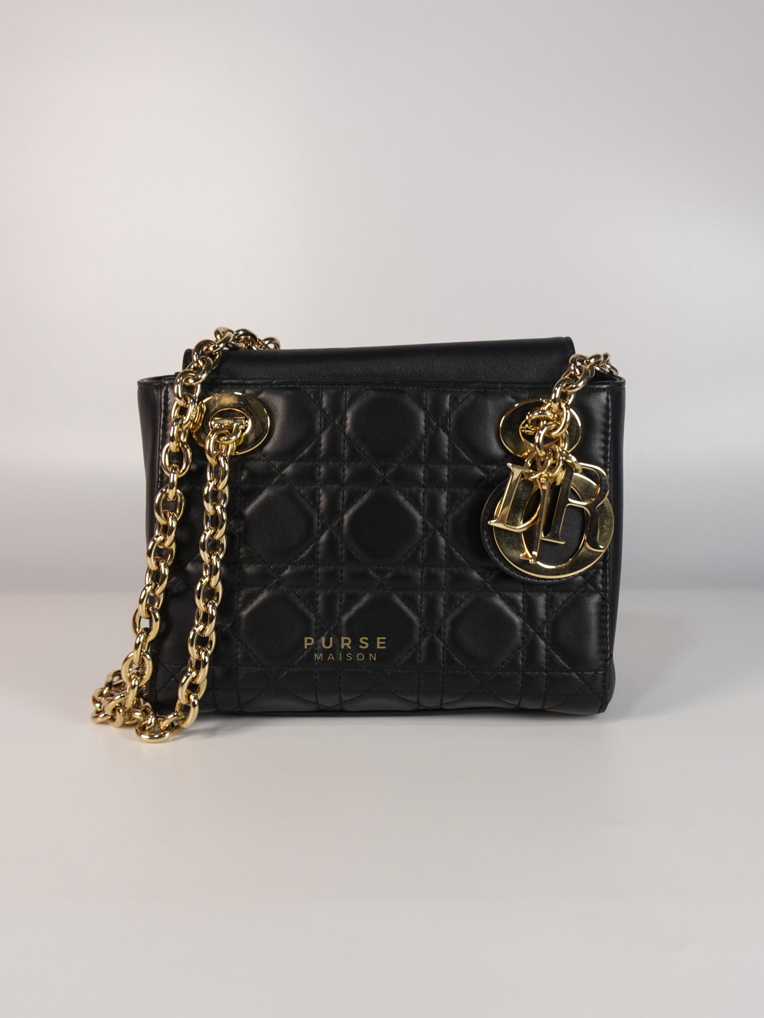 Lady Dior Small Double Chain in Black Cannage Lambskin Leather Limited Edition | Purse Maison Luxury Bags Shop