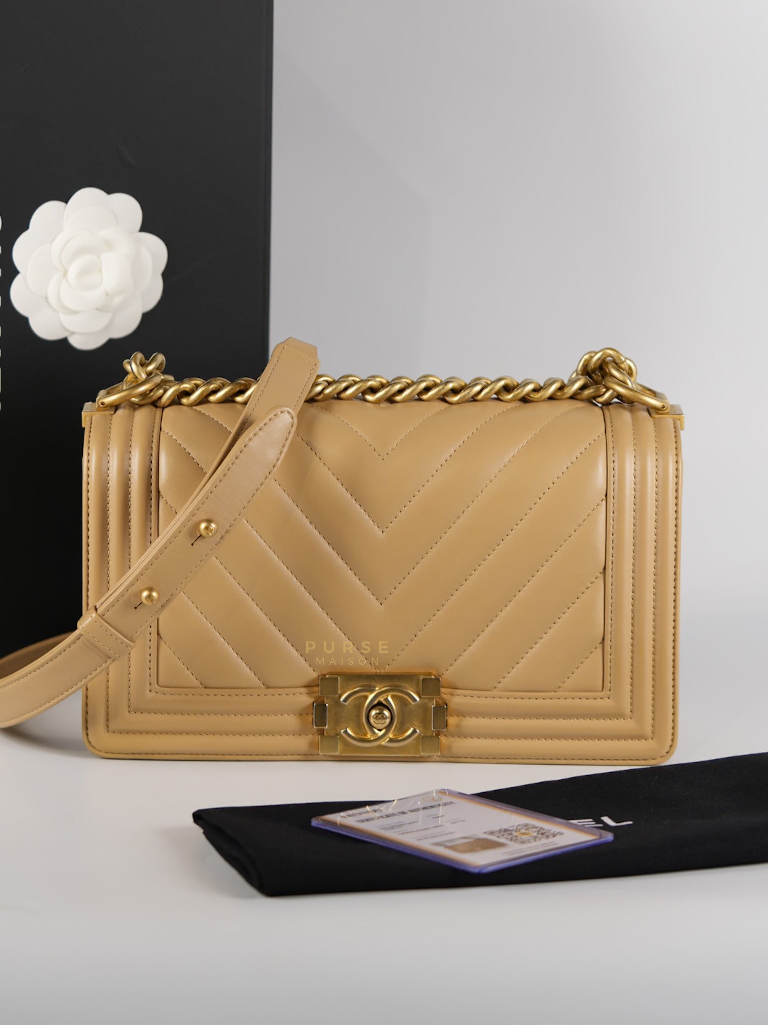 Le Boy Old Medium in Beige Chevron Lambskin Leather Series 25 | Purse Maison Luxury Bags Shop