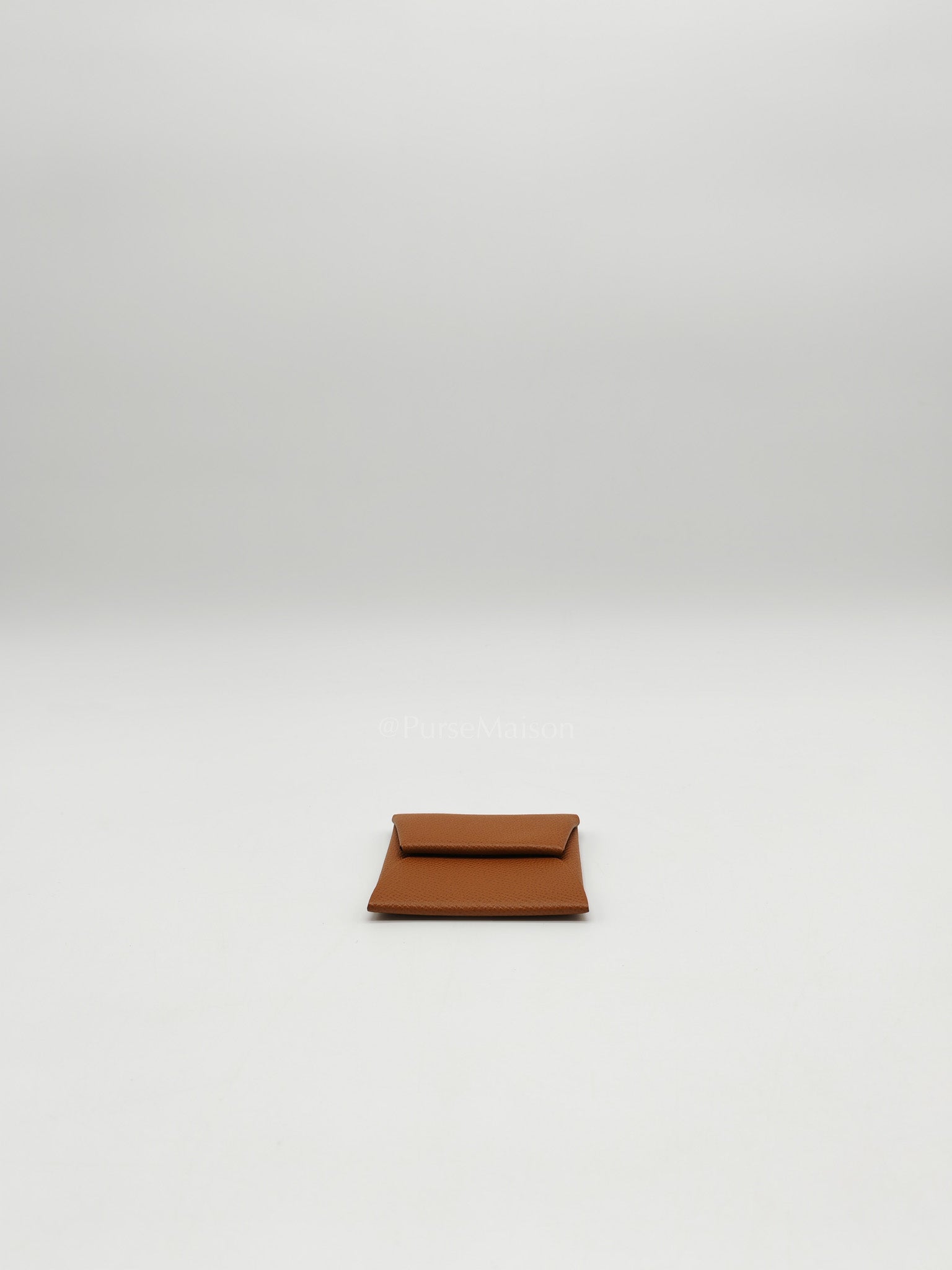 Bastia Change Purse in Gold Evercolor Leather Stamp Y (2020)