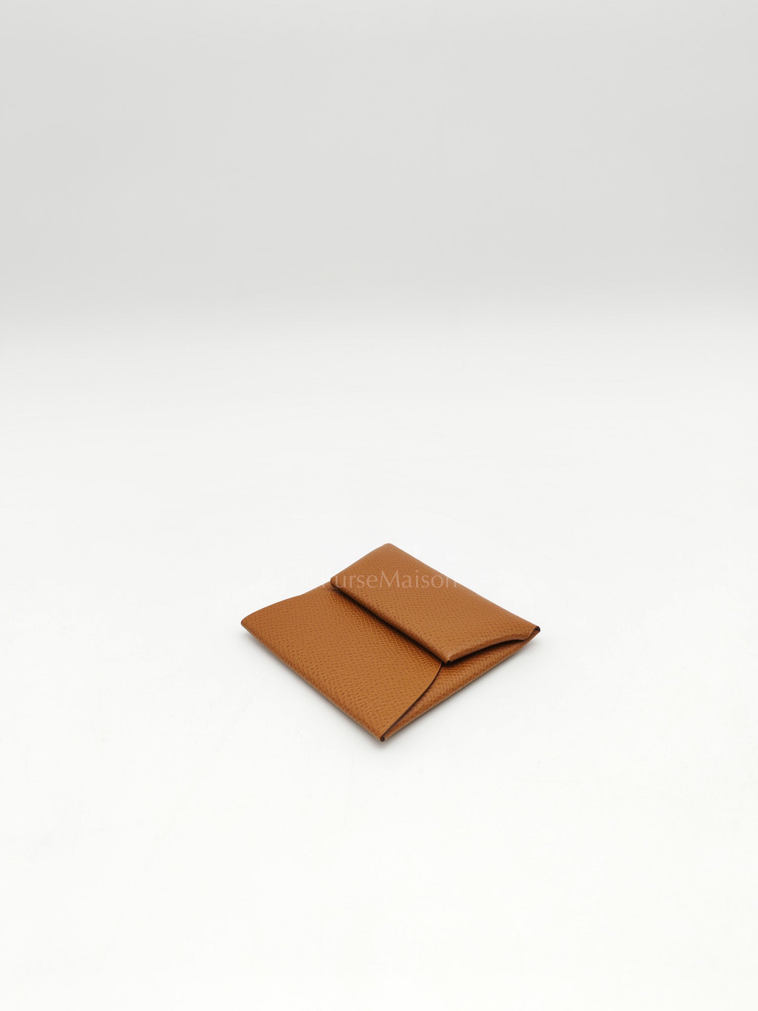 Bastia Change Purse in Gold Evercolor Leather Stamp Y (2020)