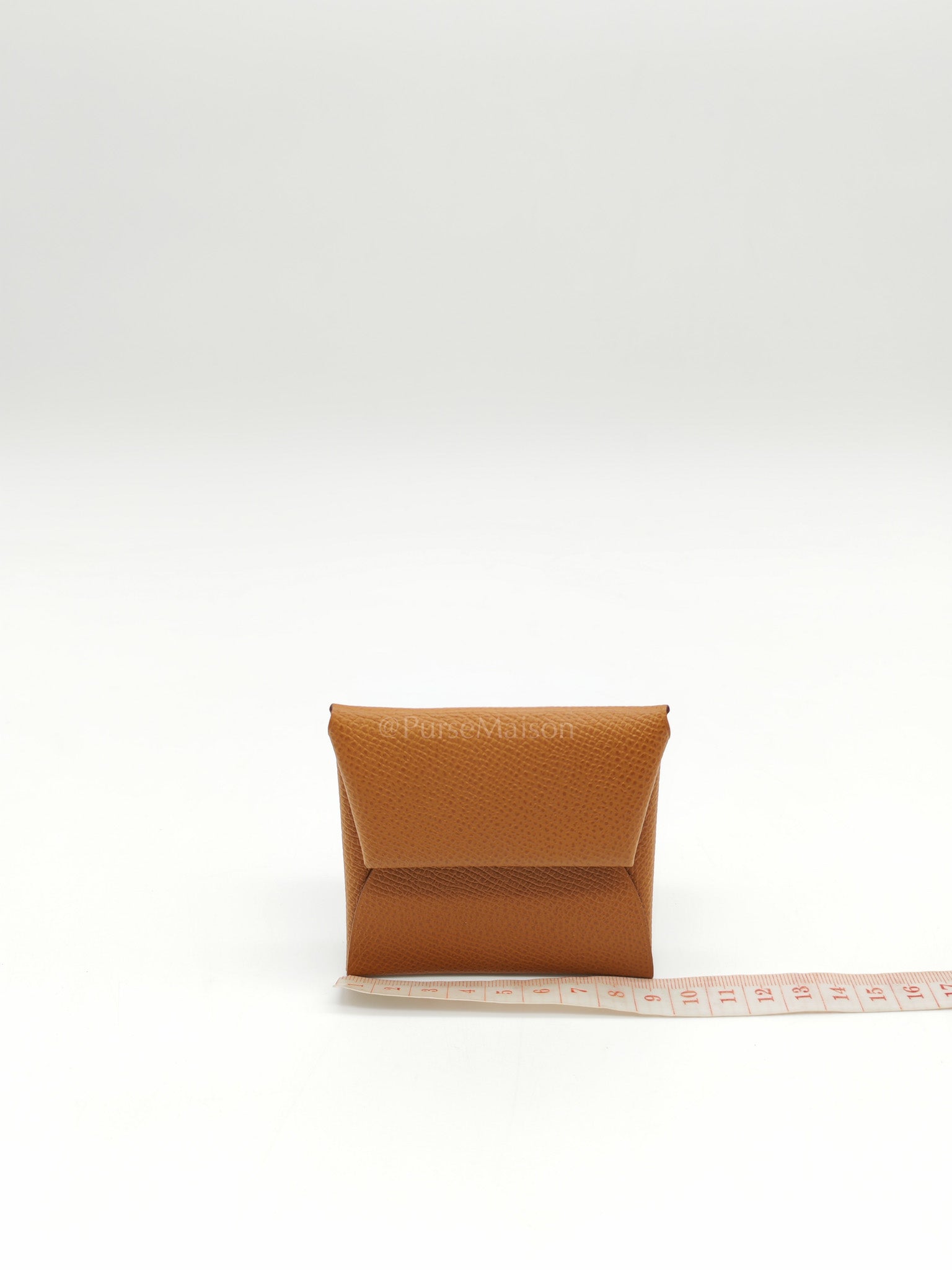 Bastia Change Purse in Gold Evercolor Leather Stamp Y (2020)