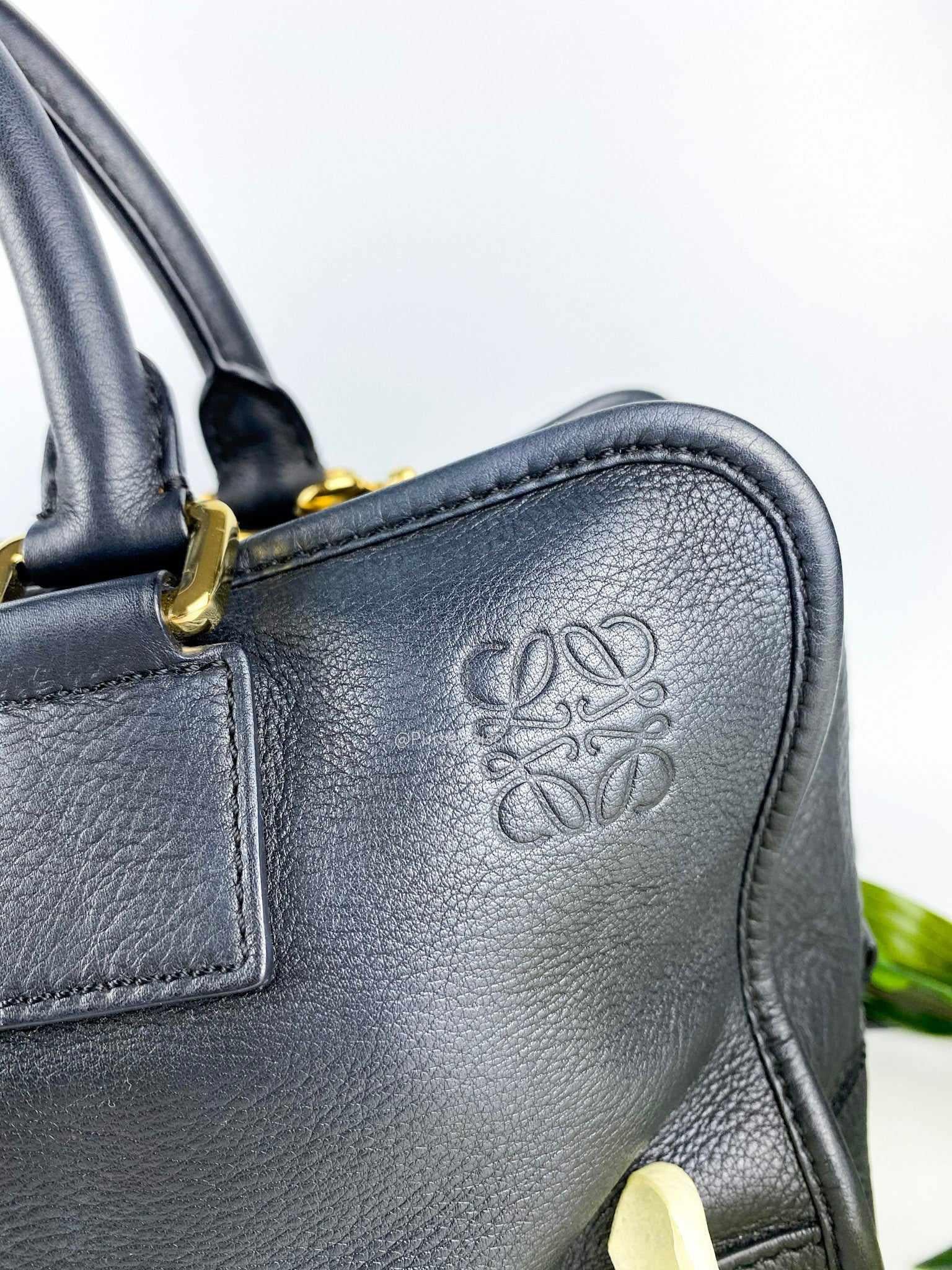 Loewe Amazona Calfskin Two Way Shoulder Bag