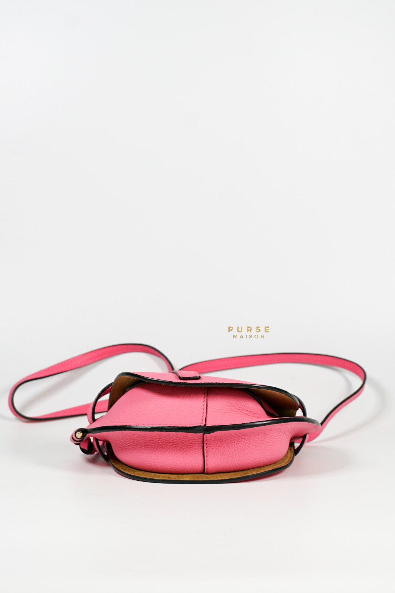 Loewe Mini Gate Cherry Pink Leather Cross Body Bag