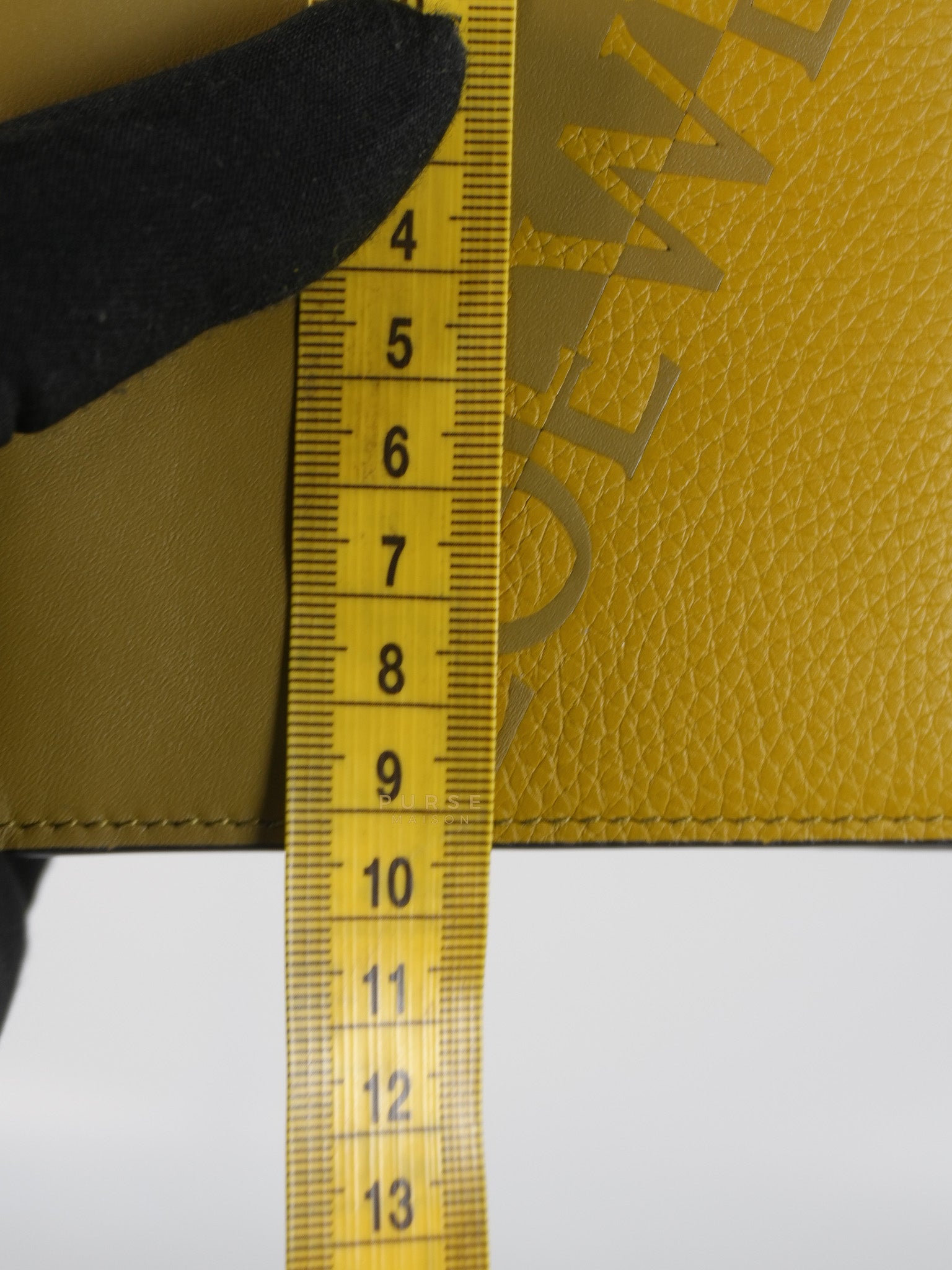 Logo Signature Print in Olive Calfskin Leather | Purse Maison Luxury Bags Shop
