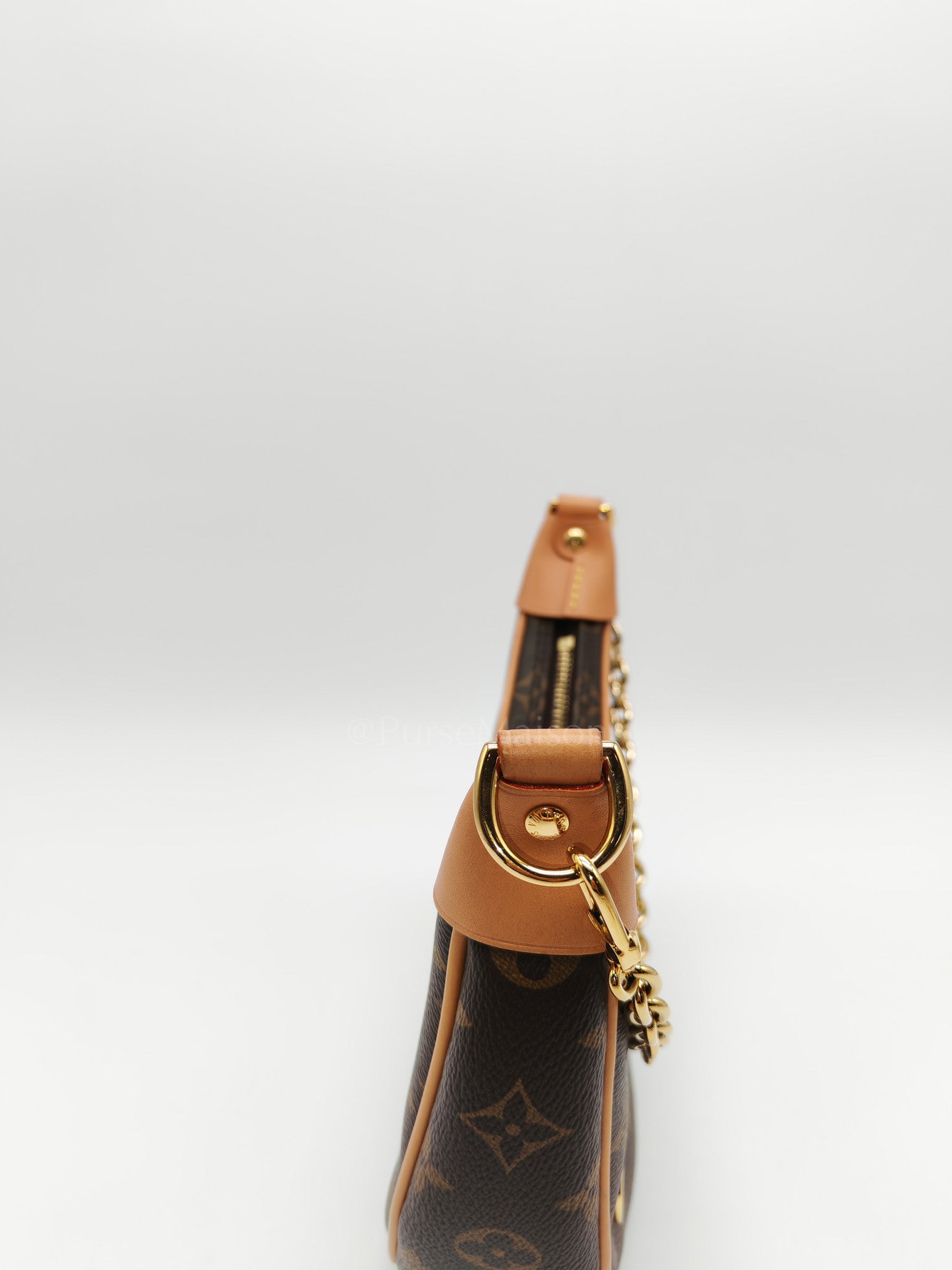 Loop Handbag in Monogram Canvas & Gold Hardware Microchip | Purse Maison Luxury Bags Shop