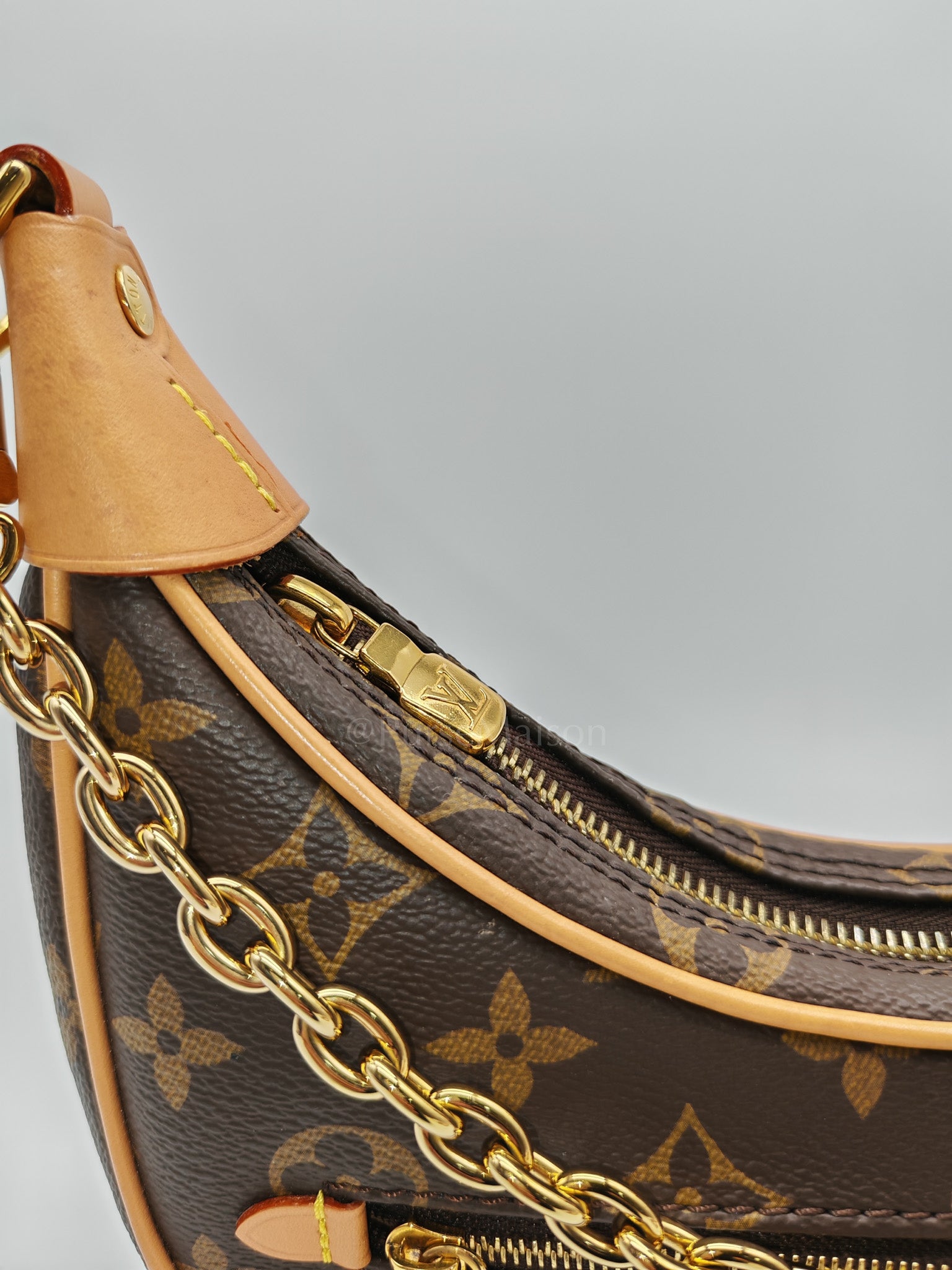 Loop Handbag in Monogram Canvas & Gold Hardware Microchip | Purse Maison Luxury Bags Shop