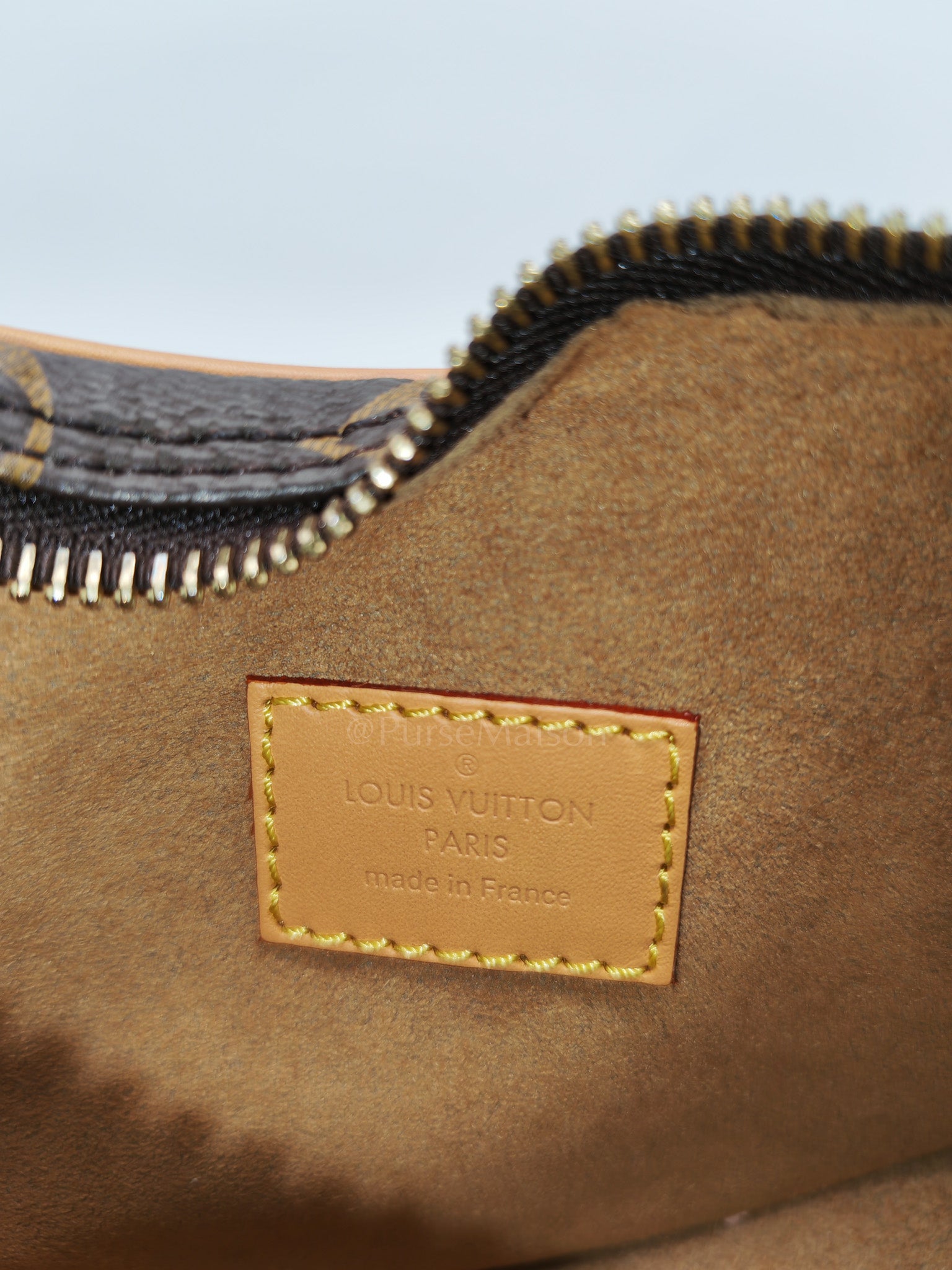 Loop Handbag in Monogram Canvas & Gold Hardware Microchip | Purse Maison Luxury Bags Shop