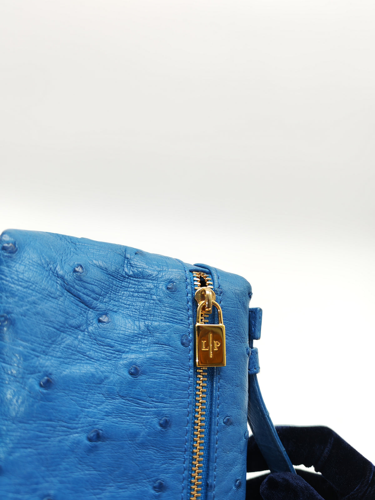 Loro Piana Extra Pocket L19 Bag in Blue Ostrich Leather (no strap) | Purse Maison Luxury Bags Shop