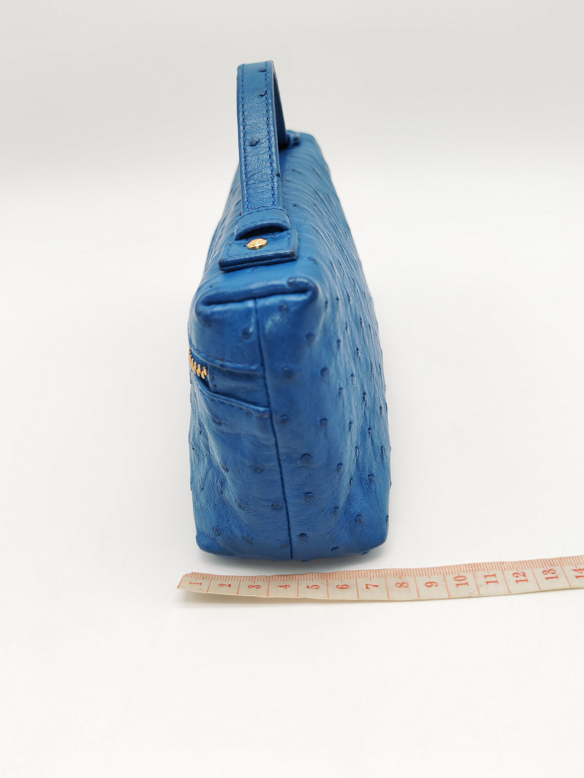 Loro Piana Extra Pocket L19 Bag in Blue Ostrich Leather (no strap) | Purse Maison Luxury Bags Shop