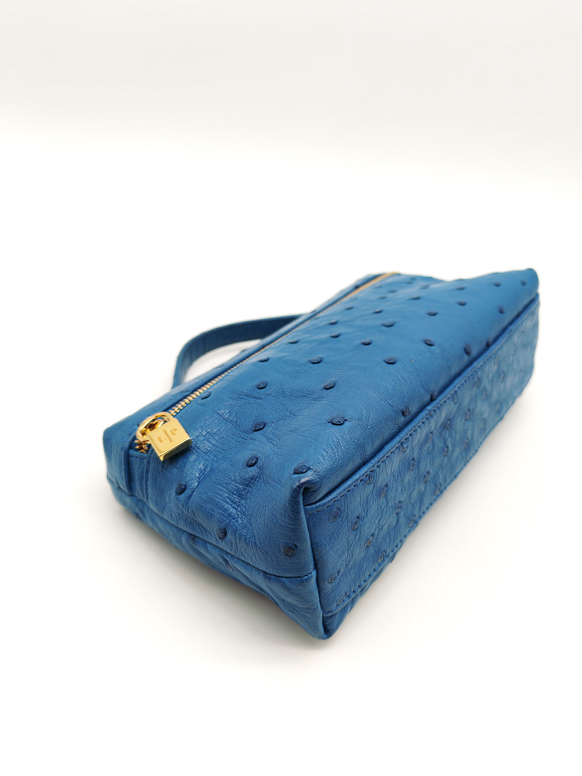 Loro Piana Extra Pocket L19 Bag in Blue Ostrich Leather (no strap) | Purse Maison Luxury Bags Shop
