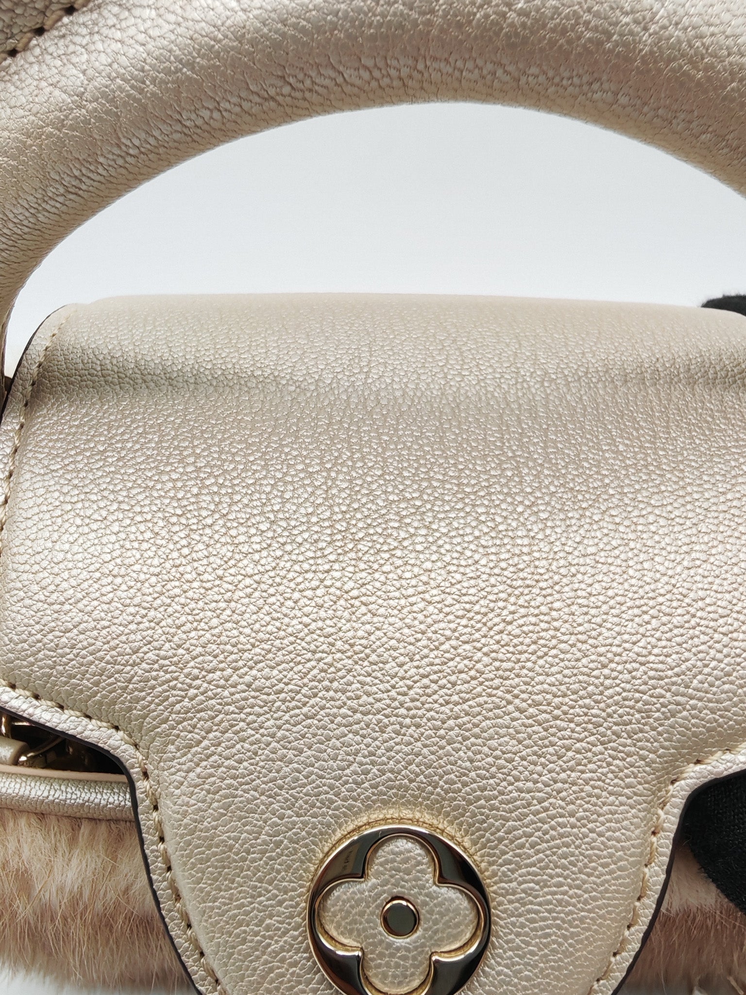 Louis Vuitton Capucines Handbag in Metallic Gold Goatskin Leather & Mink Fur (Microchip) | Purse Maison Luxury Bags Shop