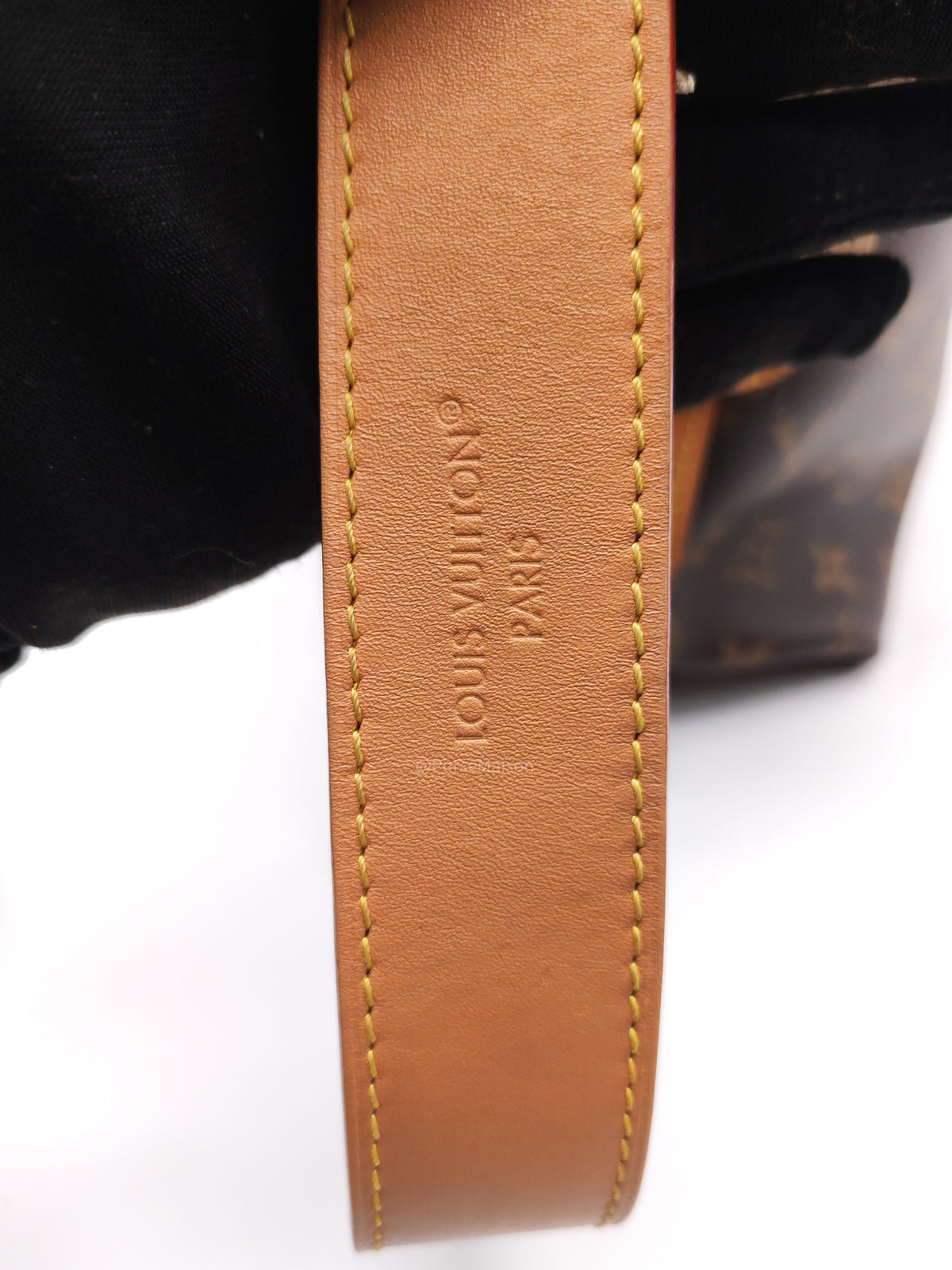 Louis Vuitton Carry All PM in Monogram Canvas and Gold Hardware Mircochip | Purse Maison Luxury Bags Shop